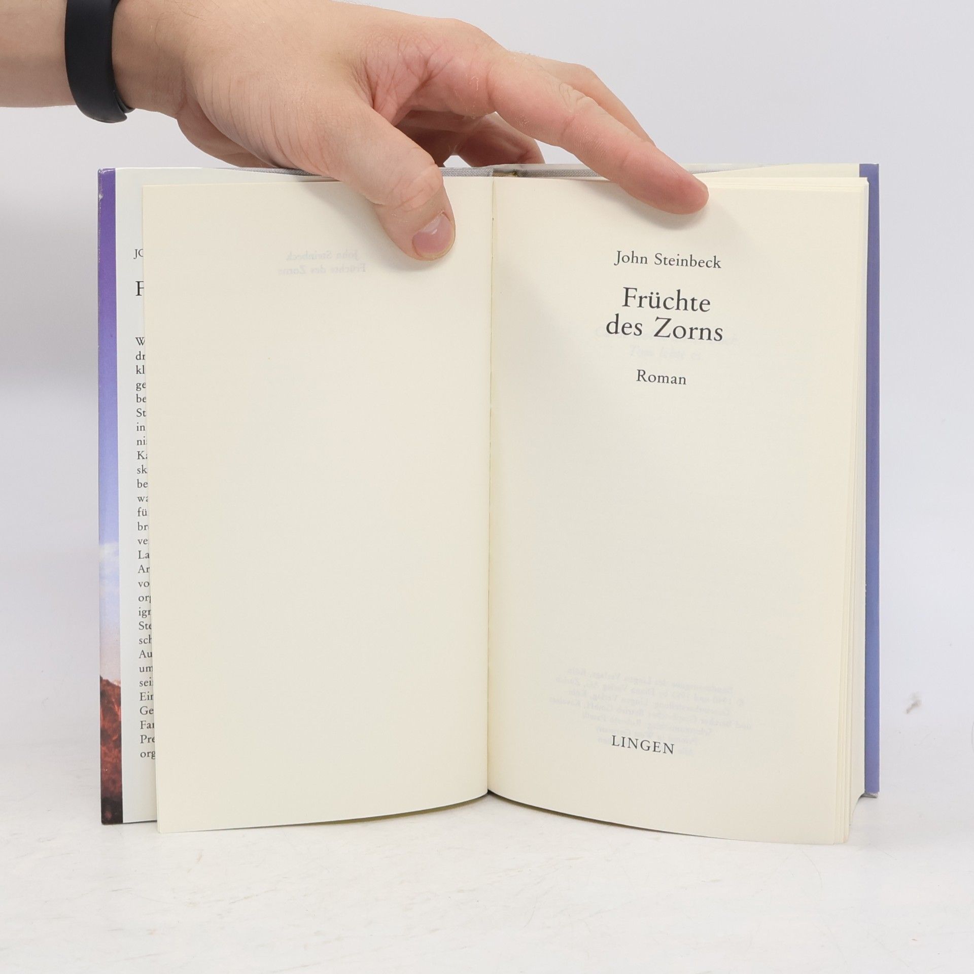 John Steinbeck Früchte des Zorns