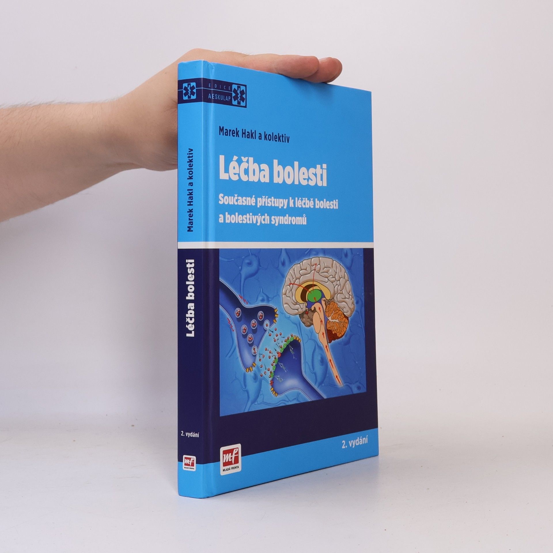Léčba bolesti: současné přístupy k léčbě bolesti a bolestivých syndromů (2. doplněné vydání)