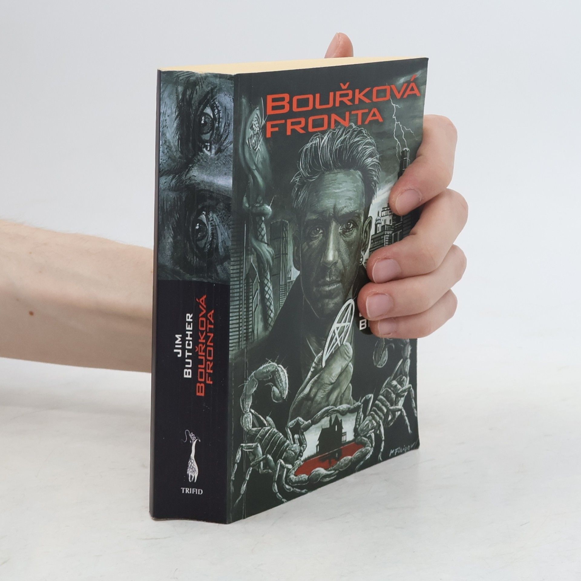 Jim Butcher Bouřková fronta
