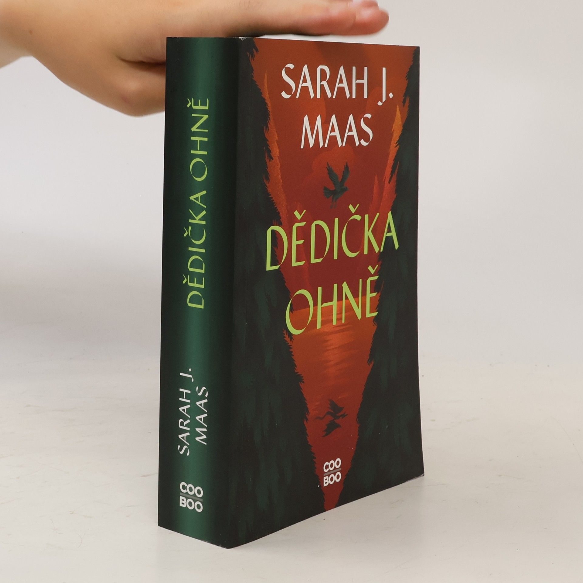 Sarah J. Maas Dědička ohně