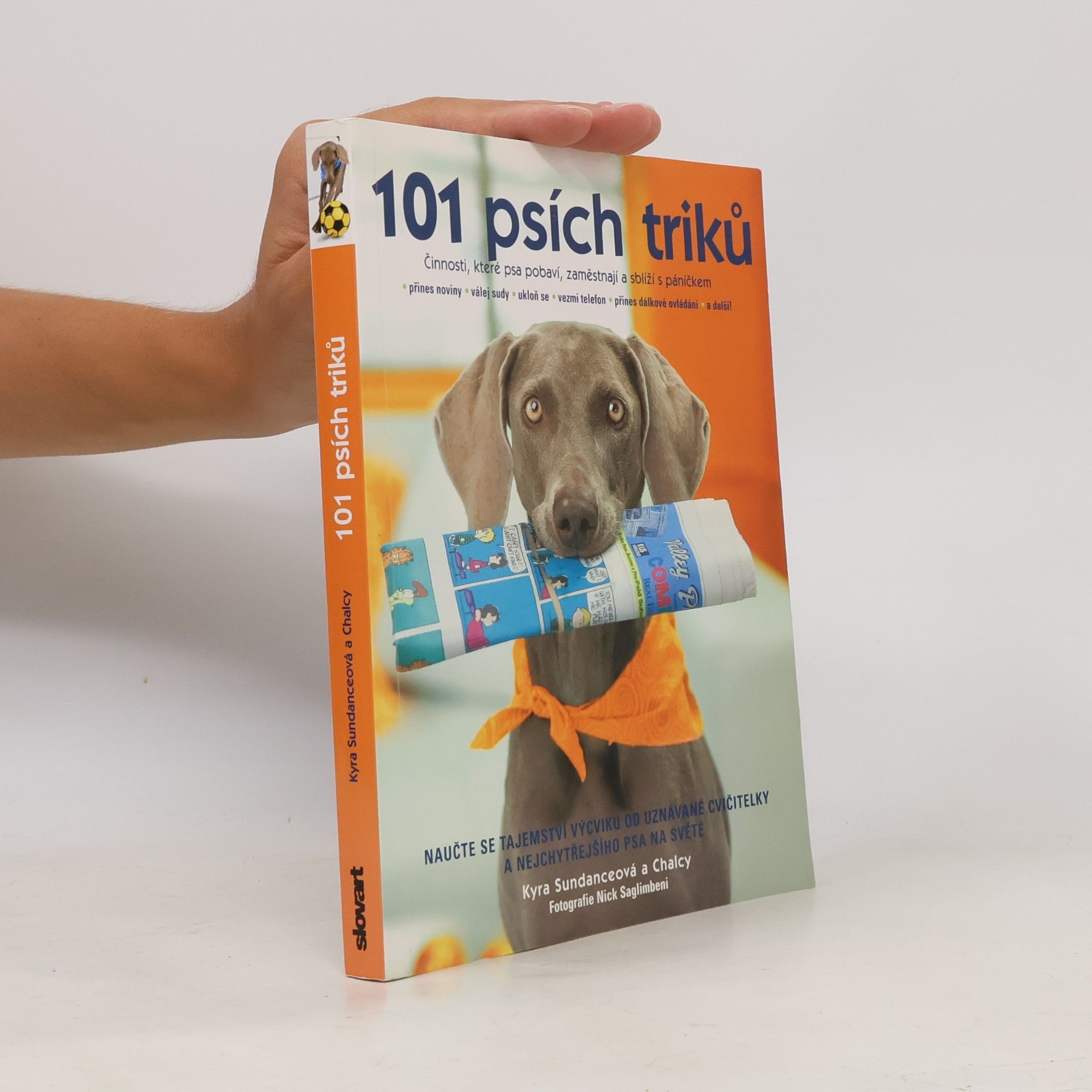 101 psích triků : činnosti, které psa pobaví, zaměstnají a sblíží s páníčkem - krok za krokem