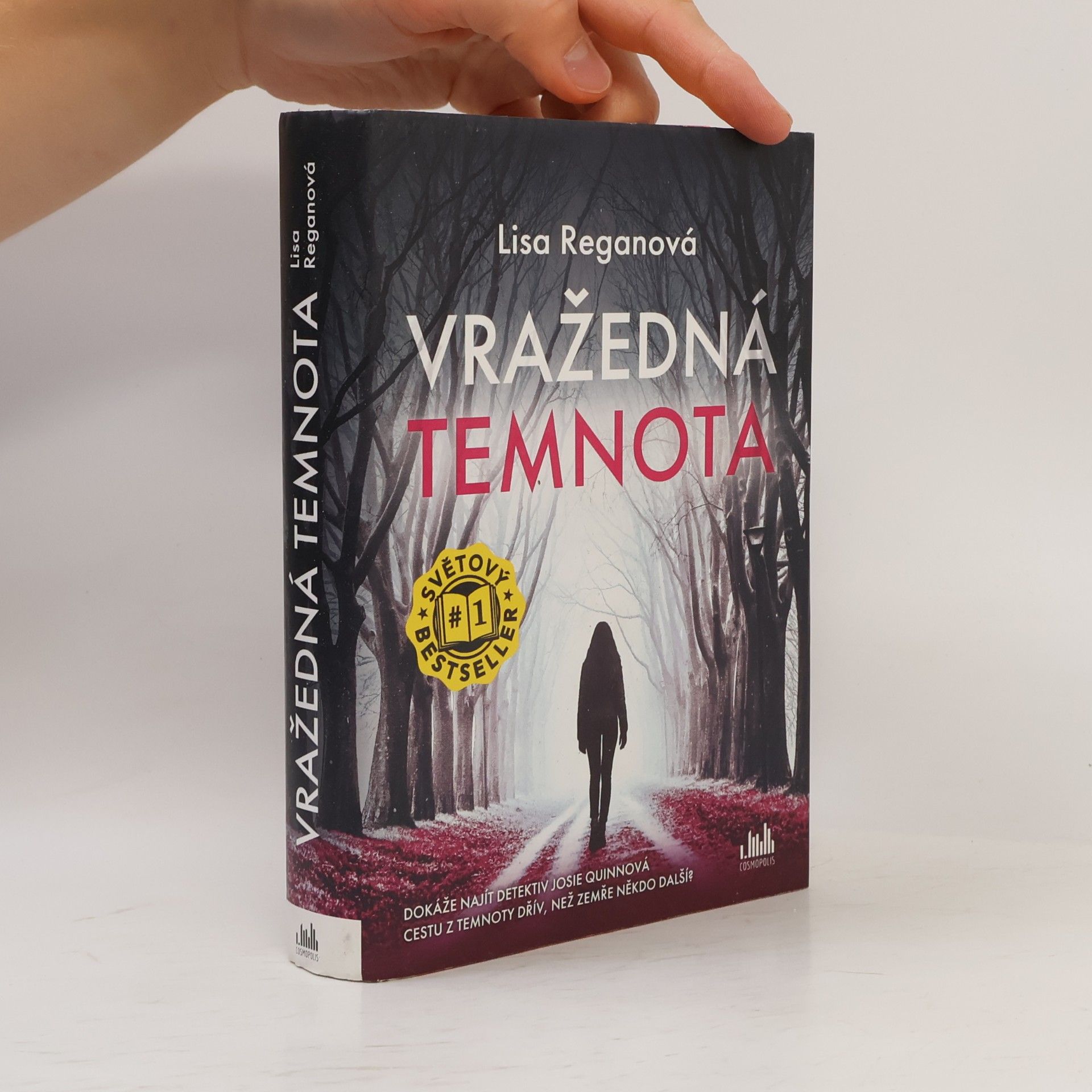 Lisa Regan Vražedná temnota