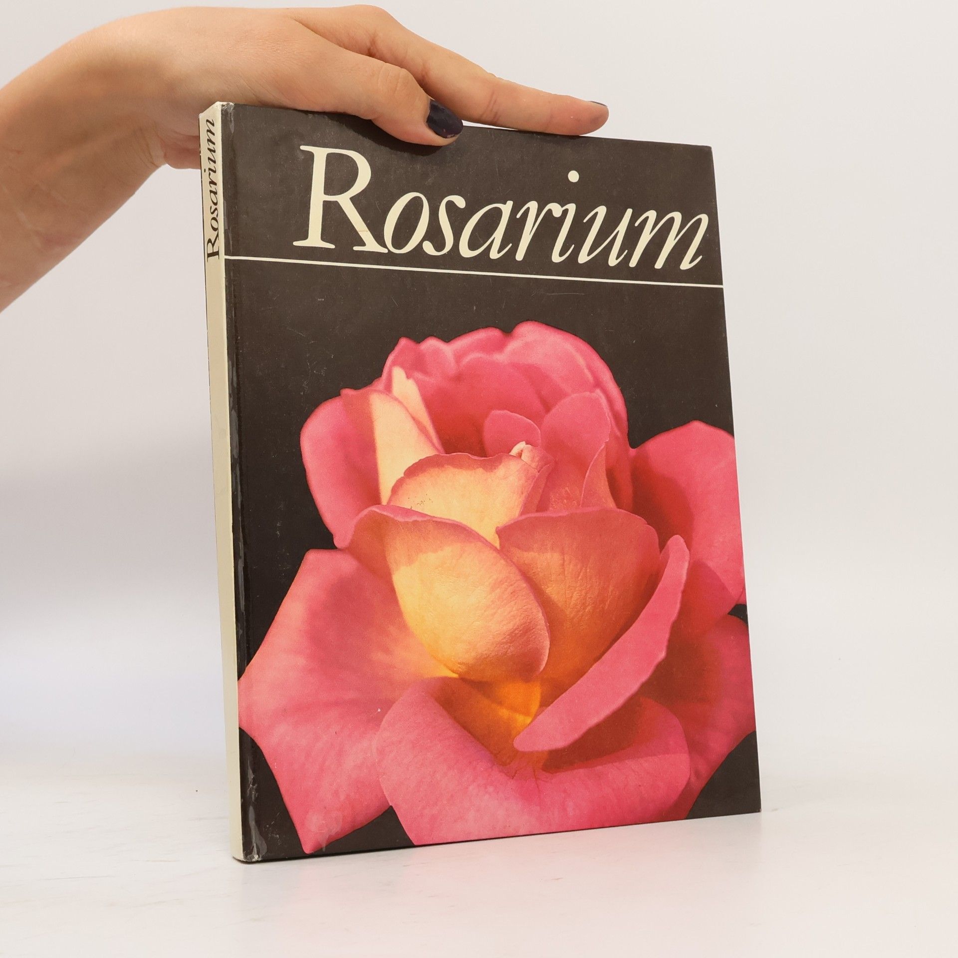 Autorenkollektiv Rosarium