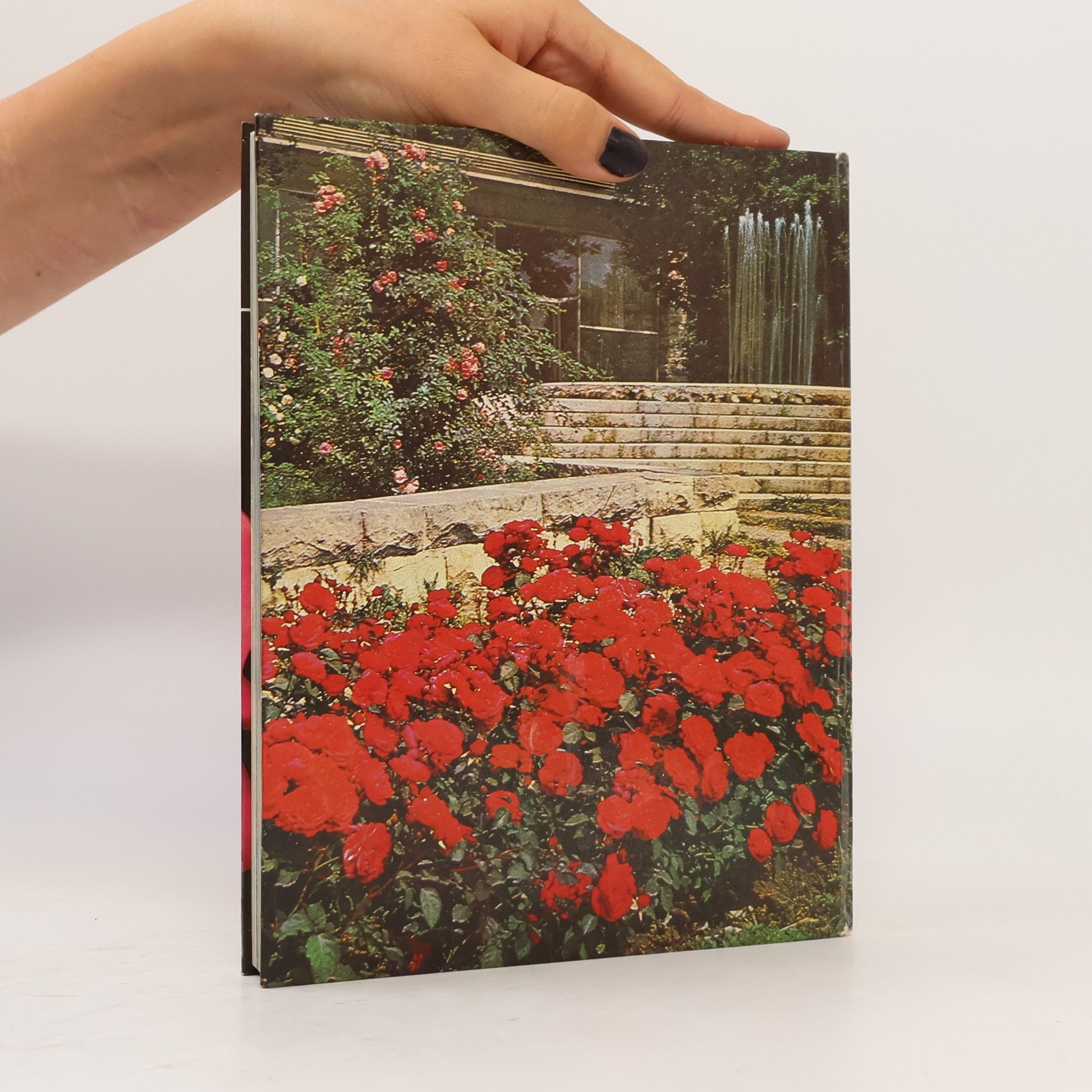 Kolektiv autorů Rosarium