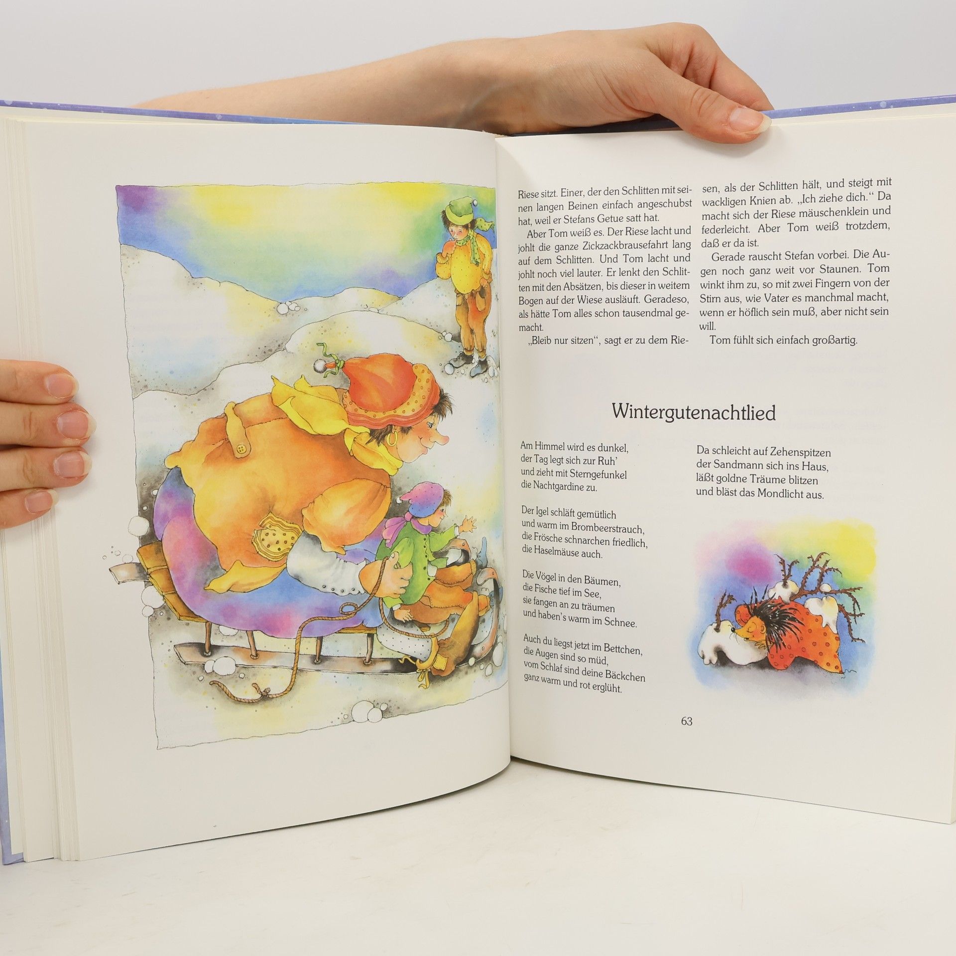 Karin Jäckel Das große bunte Weihnachtsbuch