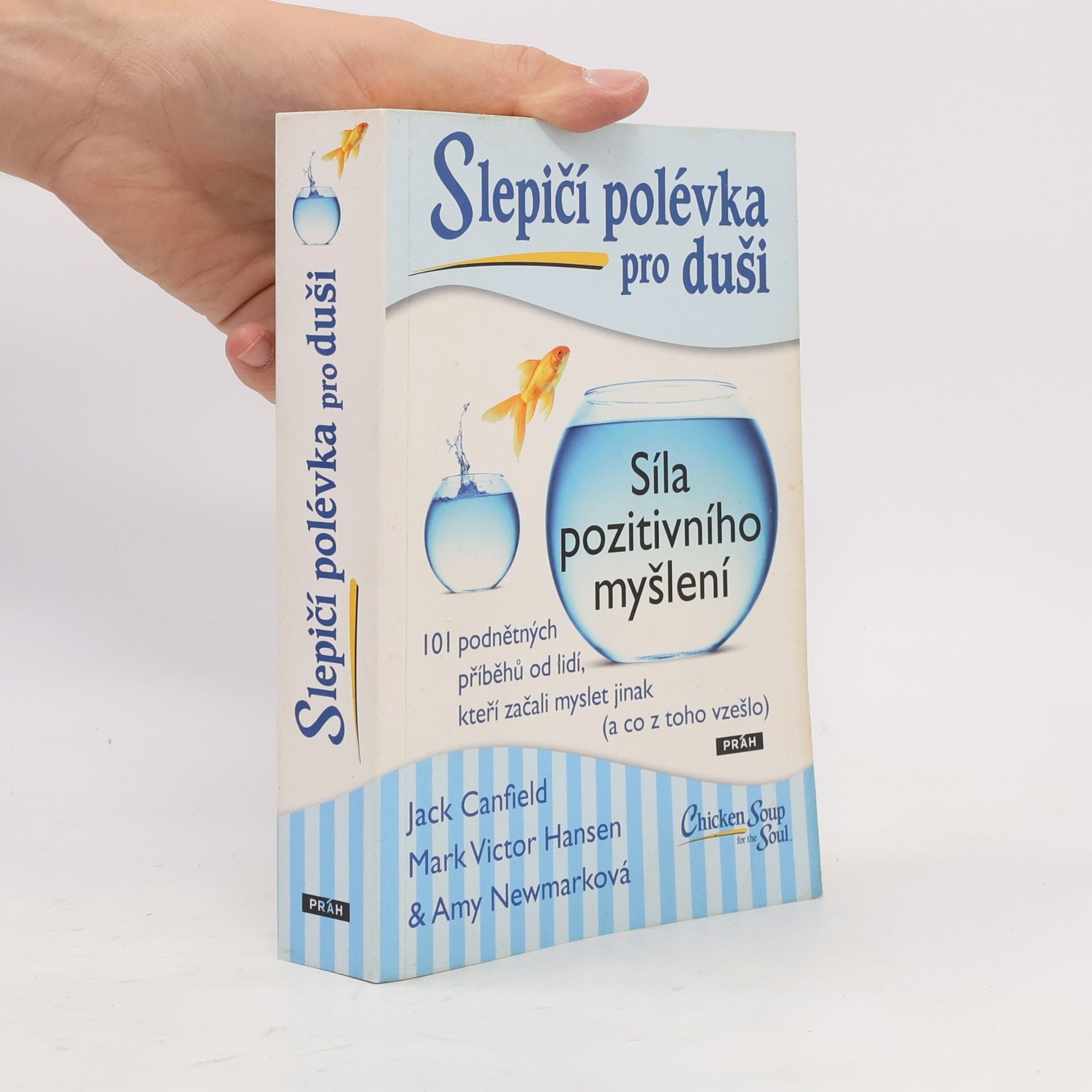 Amy Newmark Slepičí polévka pro duši