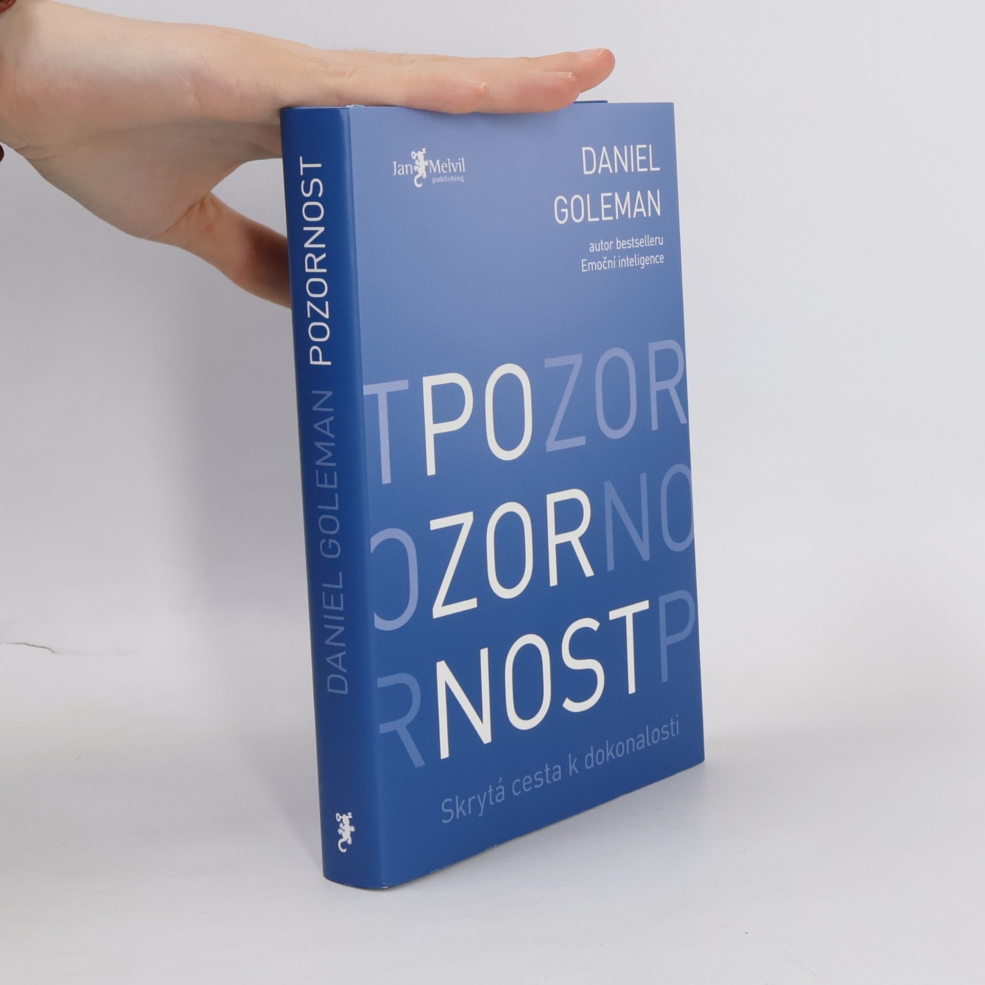 Pozornost. Skrytá cesta k dokonalosti