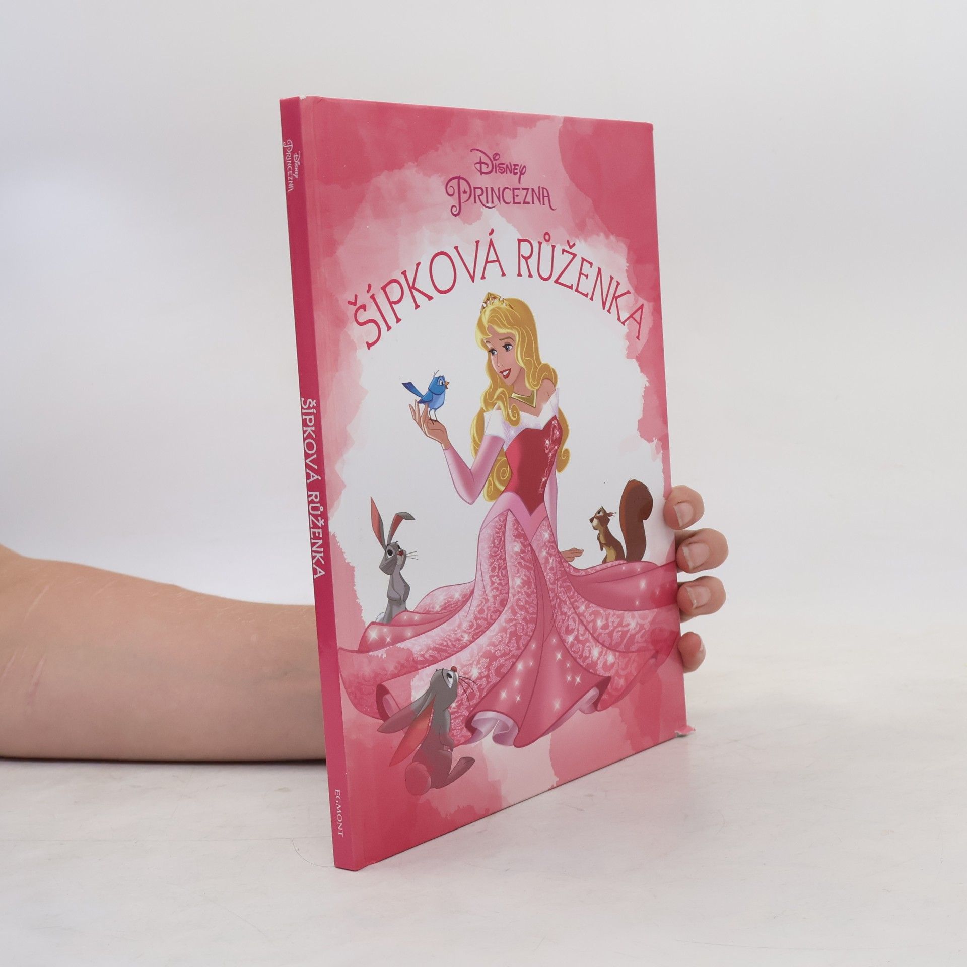 Disney Storybook Artists Šípková Růženka