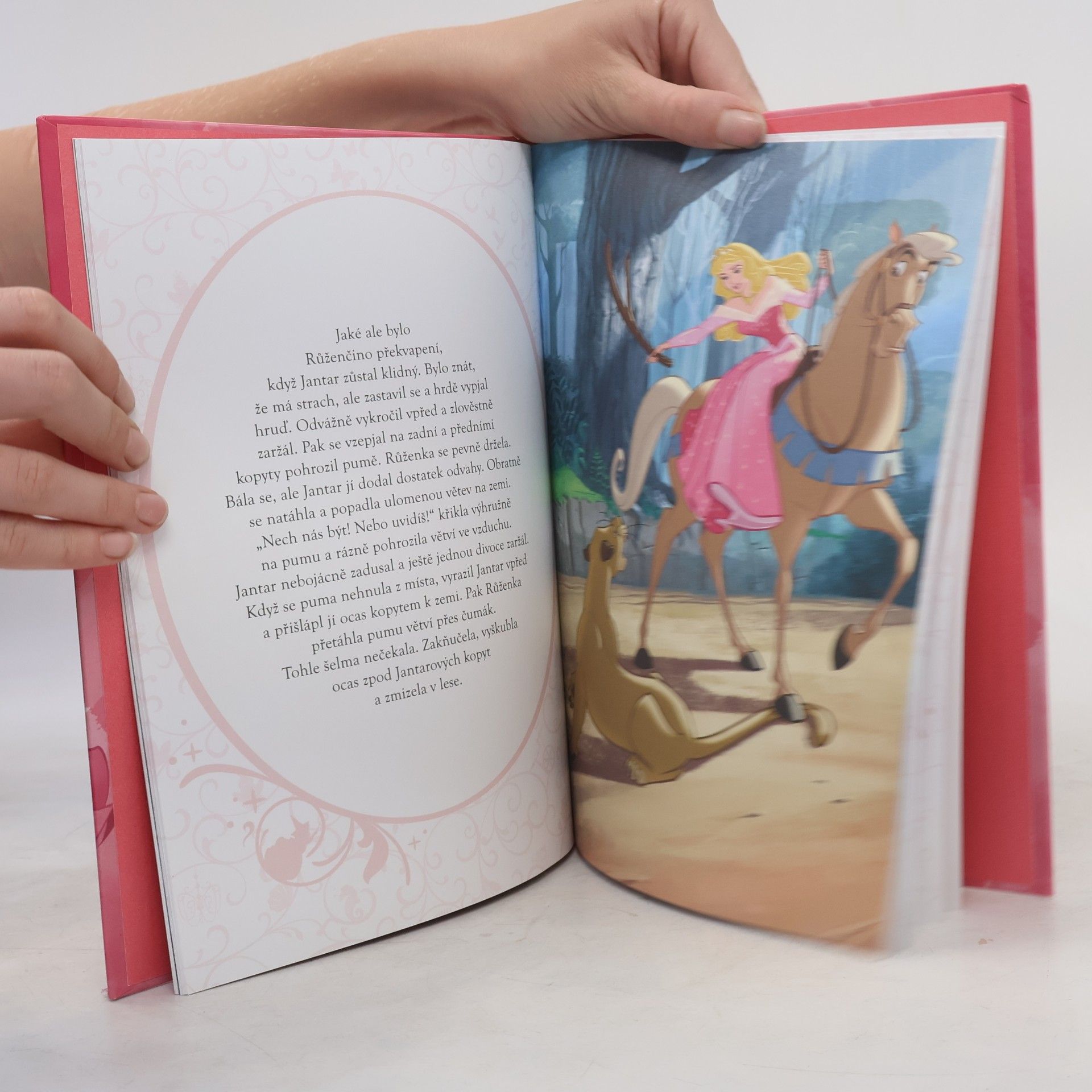 Disney Storybook Artists Šípková Růženka