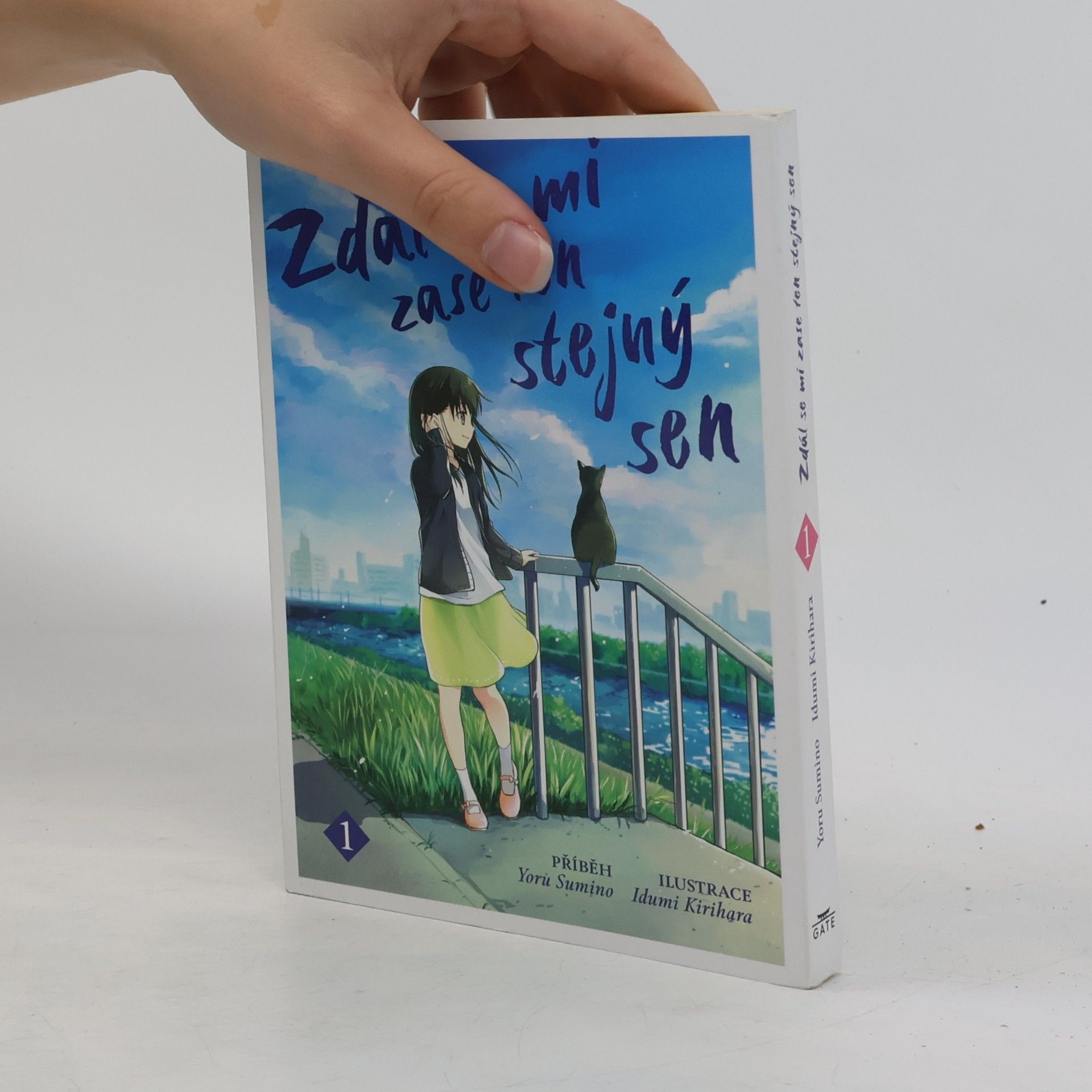 Joru Sumino Zdál se mi zase ten stejný sen 1