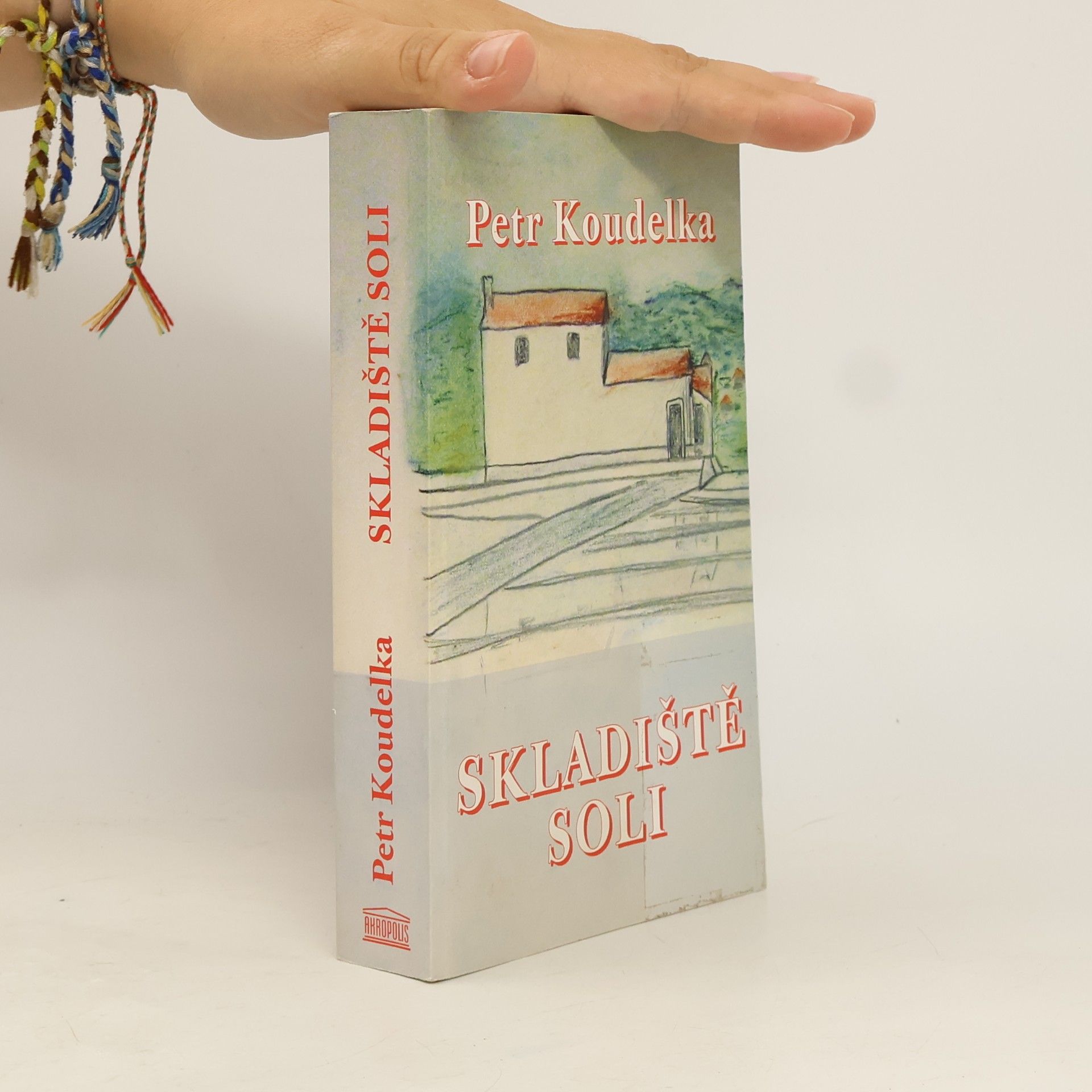 Petr Koudelka Skladiště soli