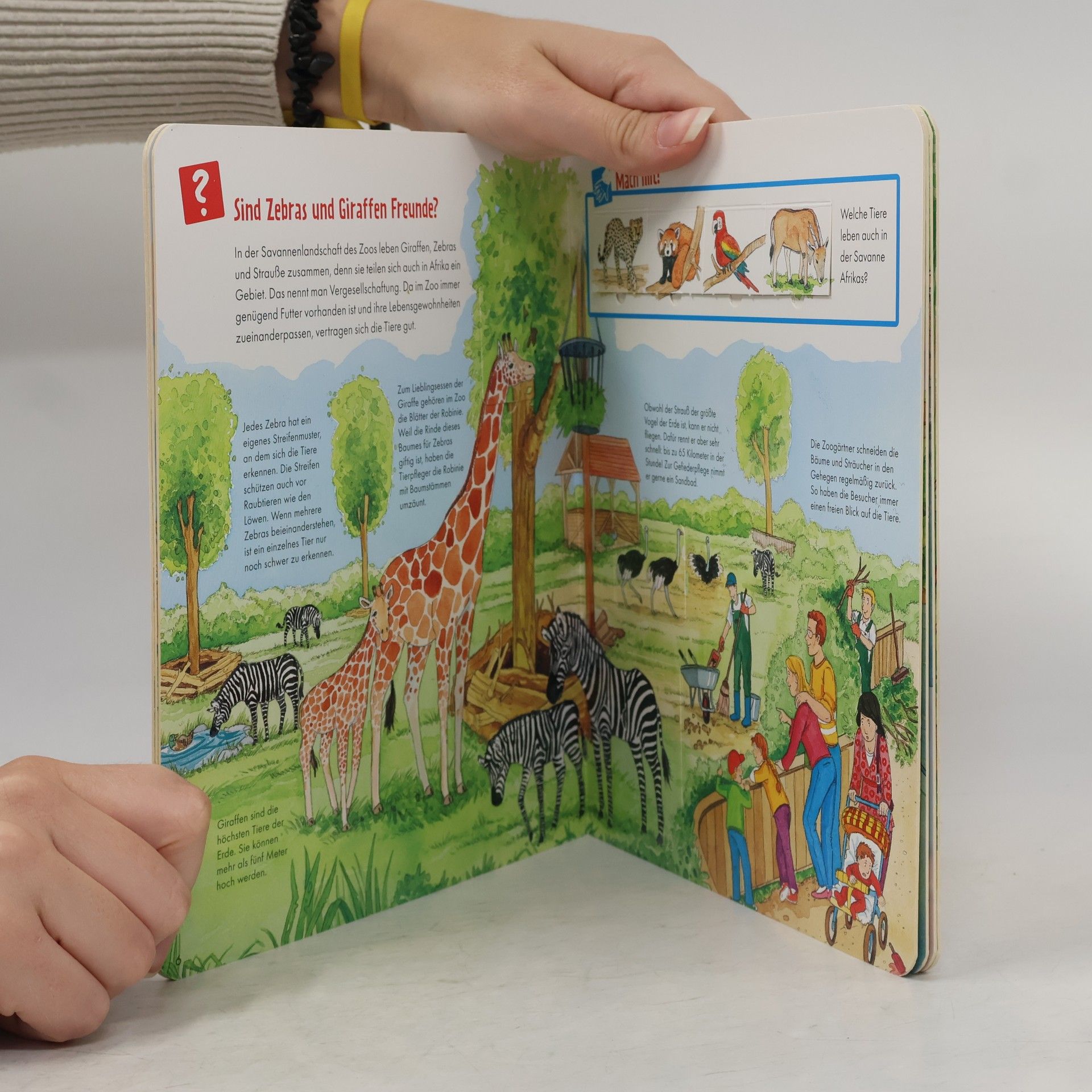 Autores varios Was ist was Junior. Im Zoo