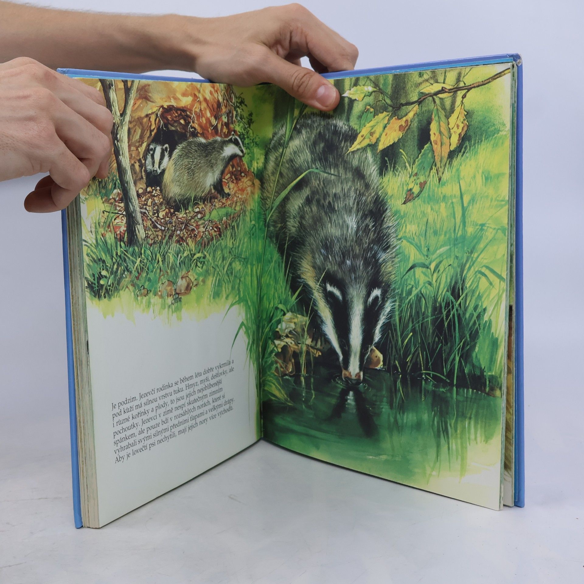 Various authors Má nejkrásnější knížka o zvířátkách