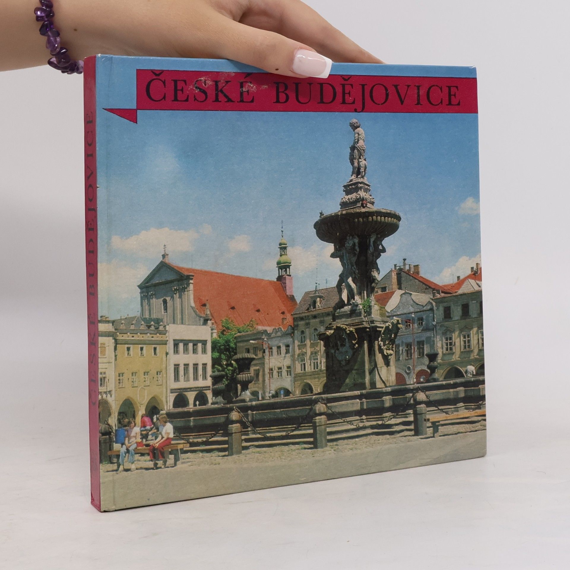 Jakub Pavel České Budějovice