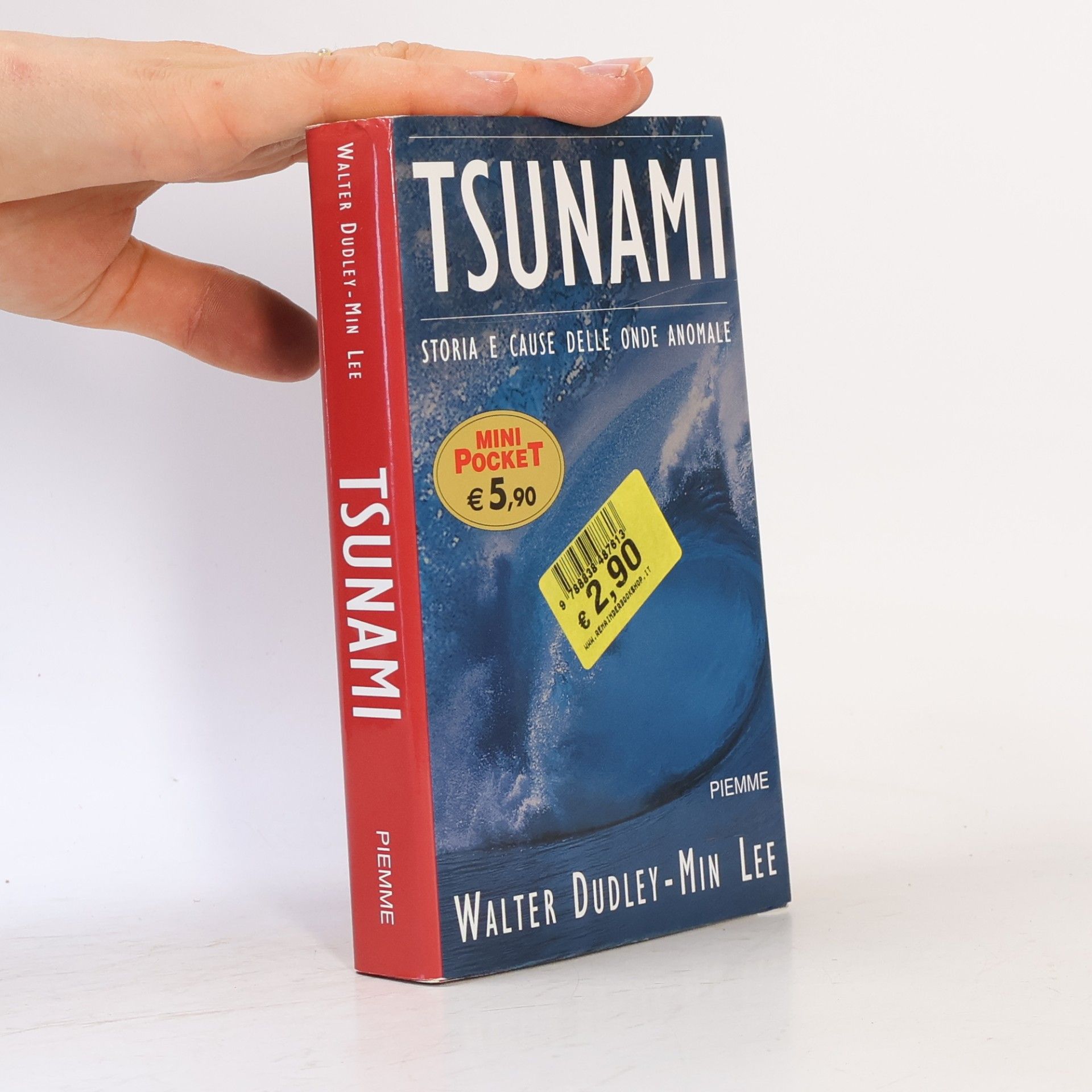 Walter C. Dudley Tsunami