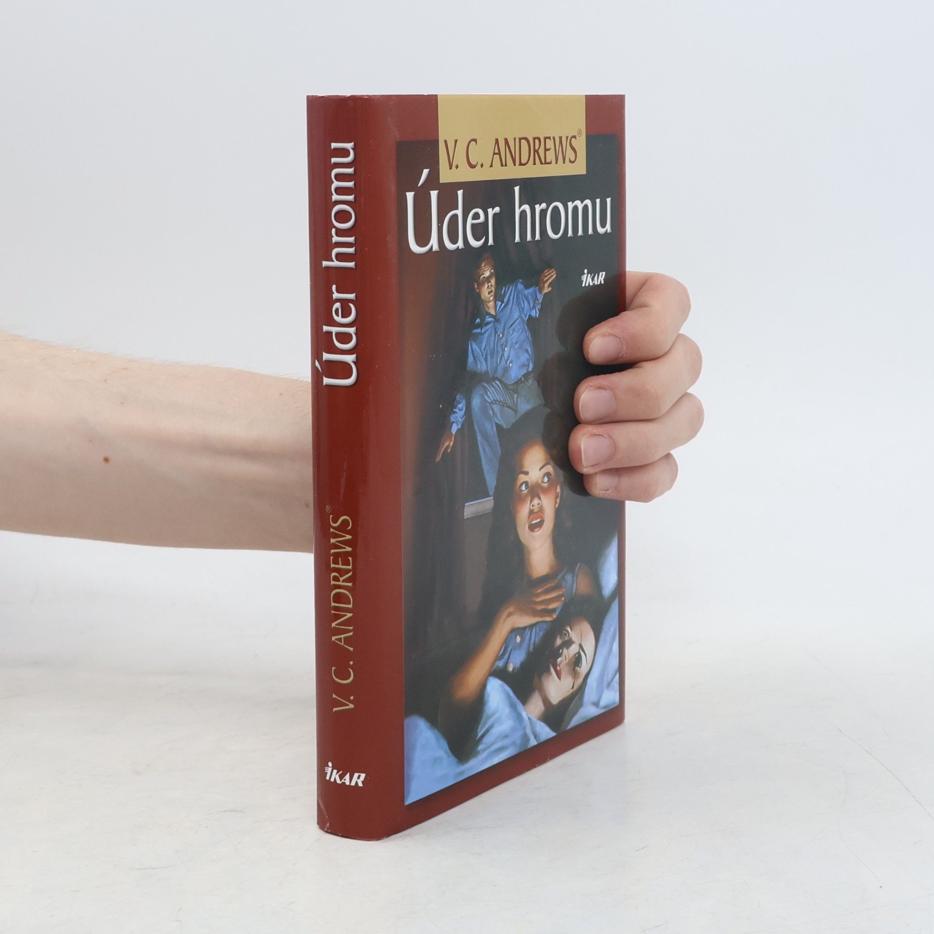V. C. Andrews Úder hromu