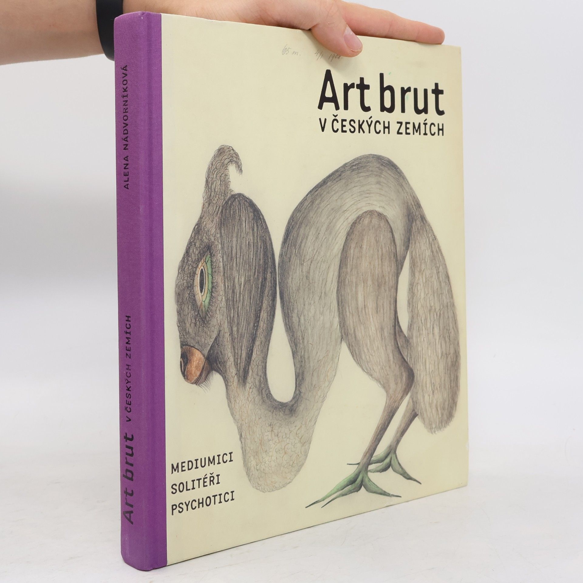 Alena Nádvorníková Art brut v českých zemích : mediumici, solitéři, psychotici