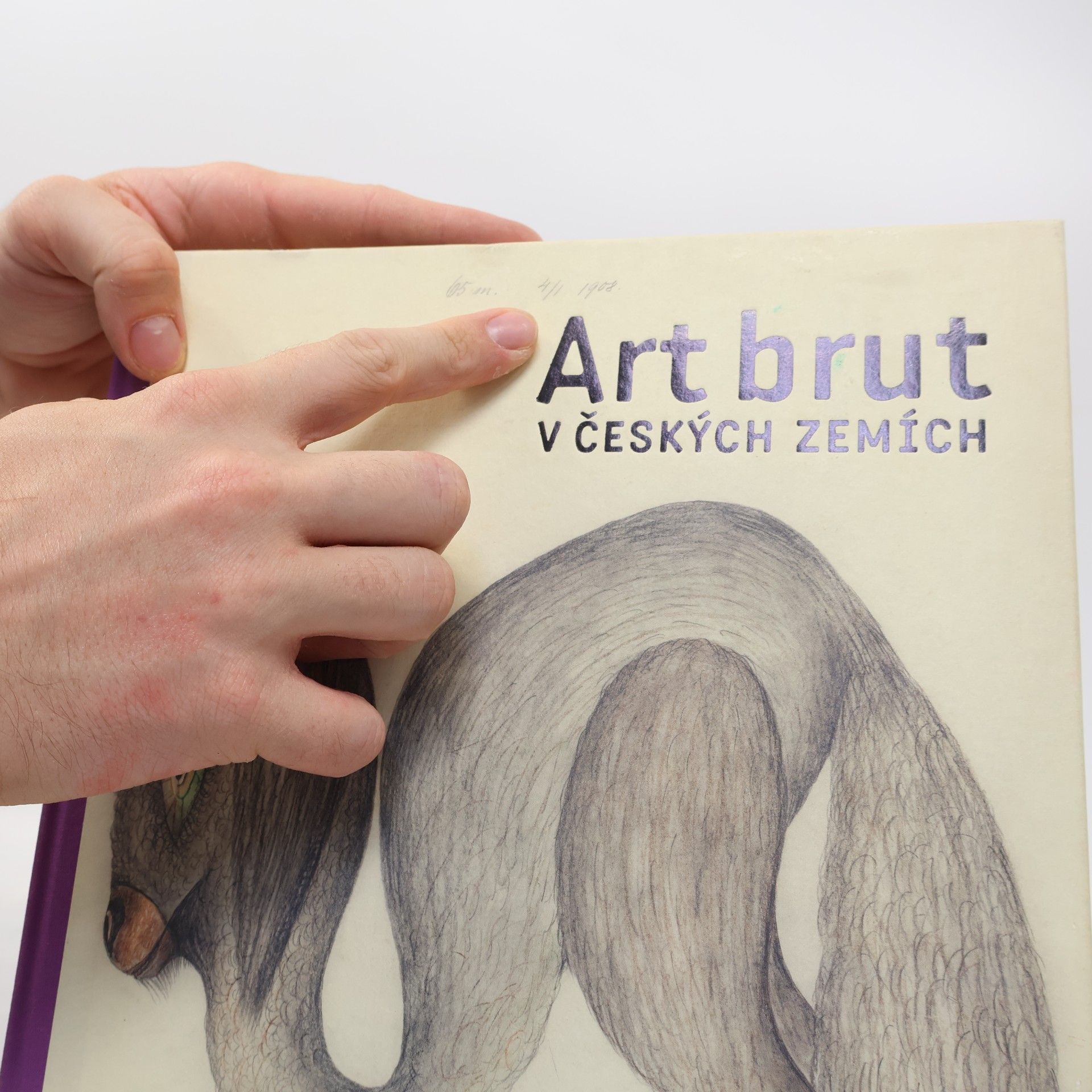 Alena Nádvorníková Art brut v českých zemích : mediumici, solitéři, psychotici