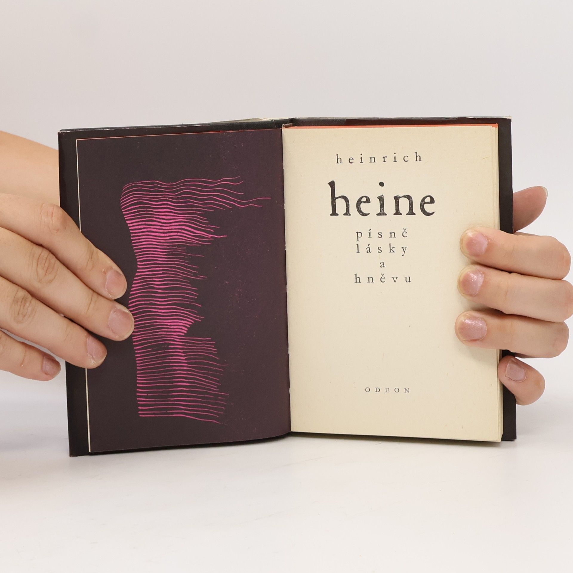 Heinrich Heine Písně lásky a hněvu