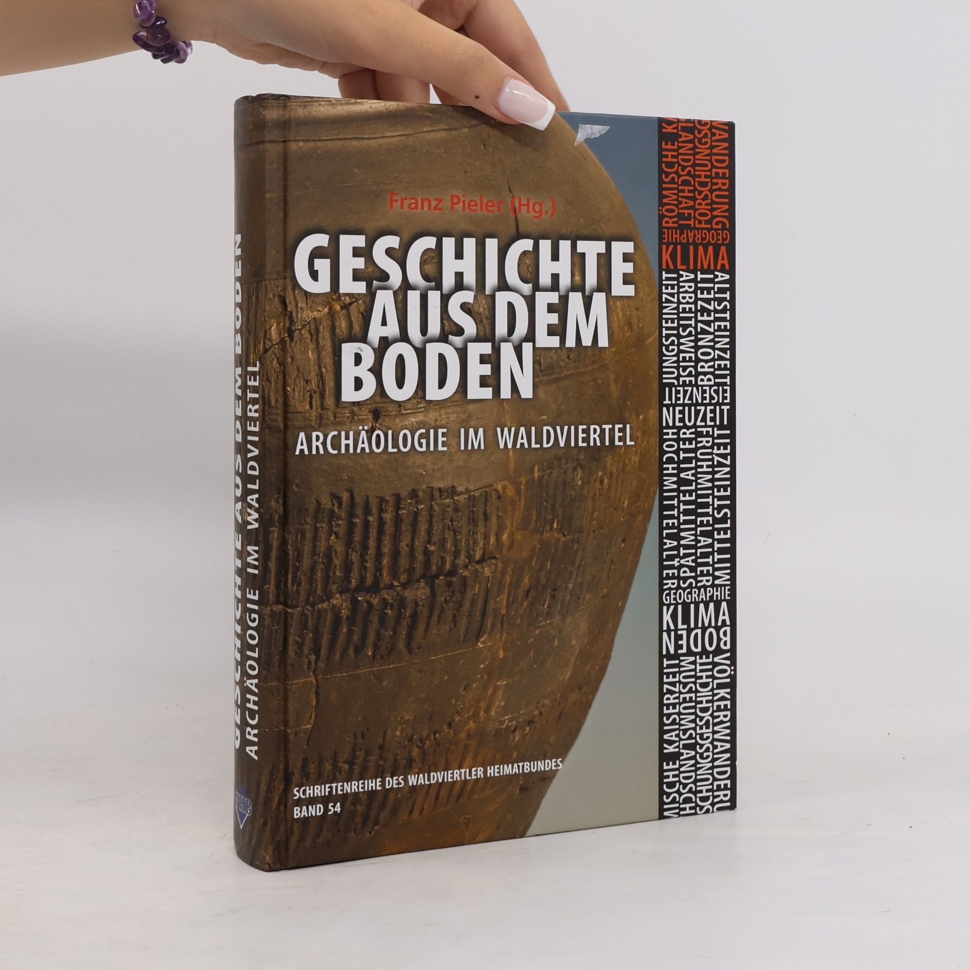 Franz Pieler Geschichte aus dem Boden