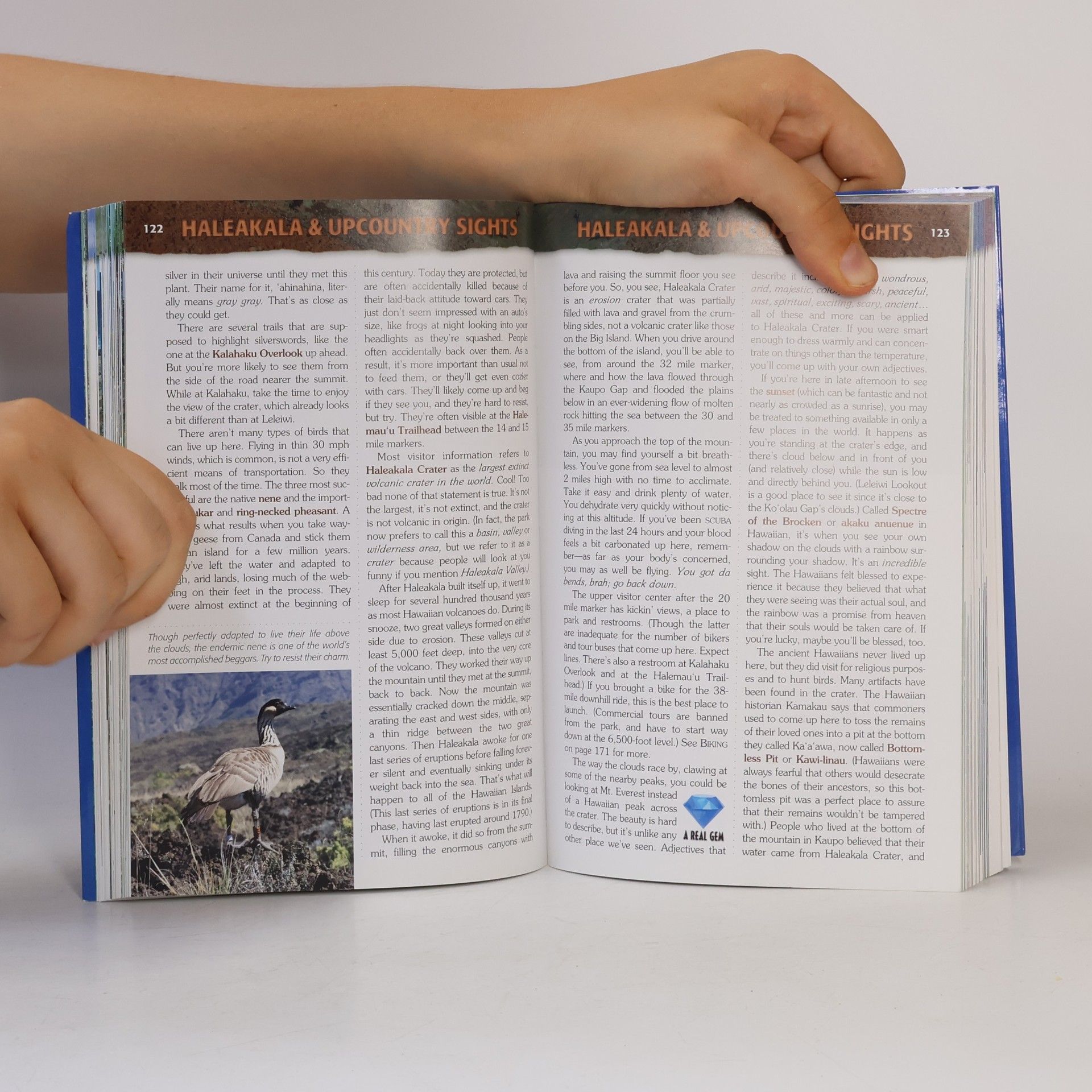 Andrew Doughty Maui Revealed. The Ultimate Guidebook
