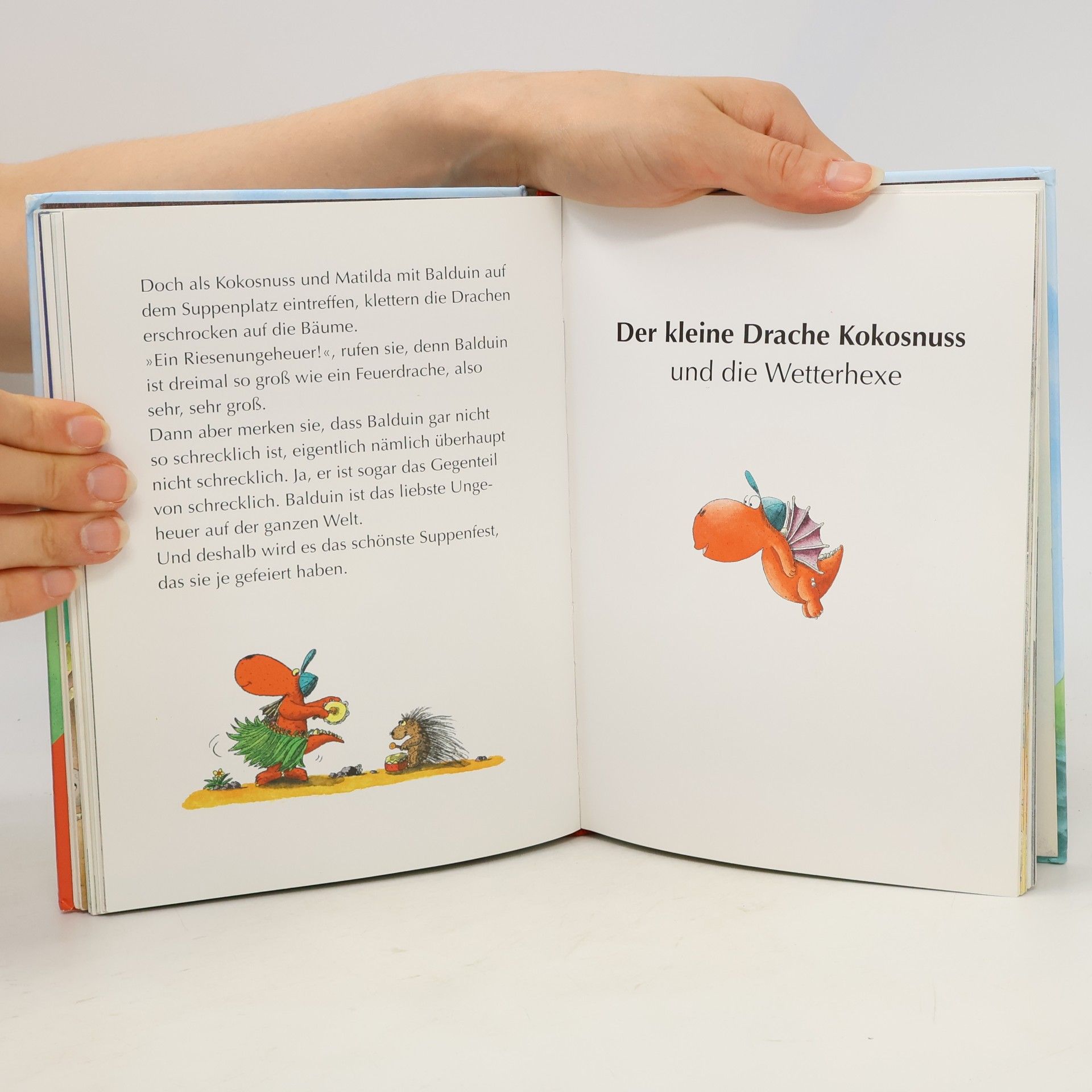 Ingo Seigner Der kleine Drache Kokosnuss