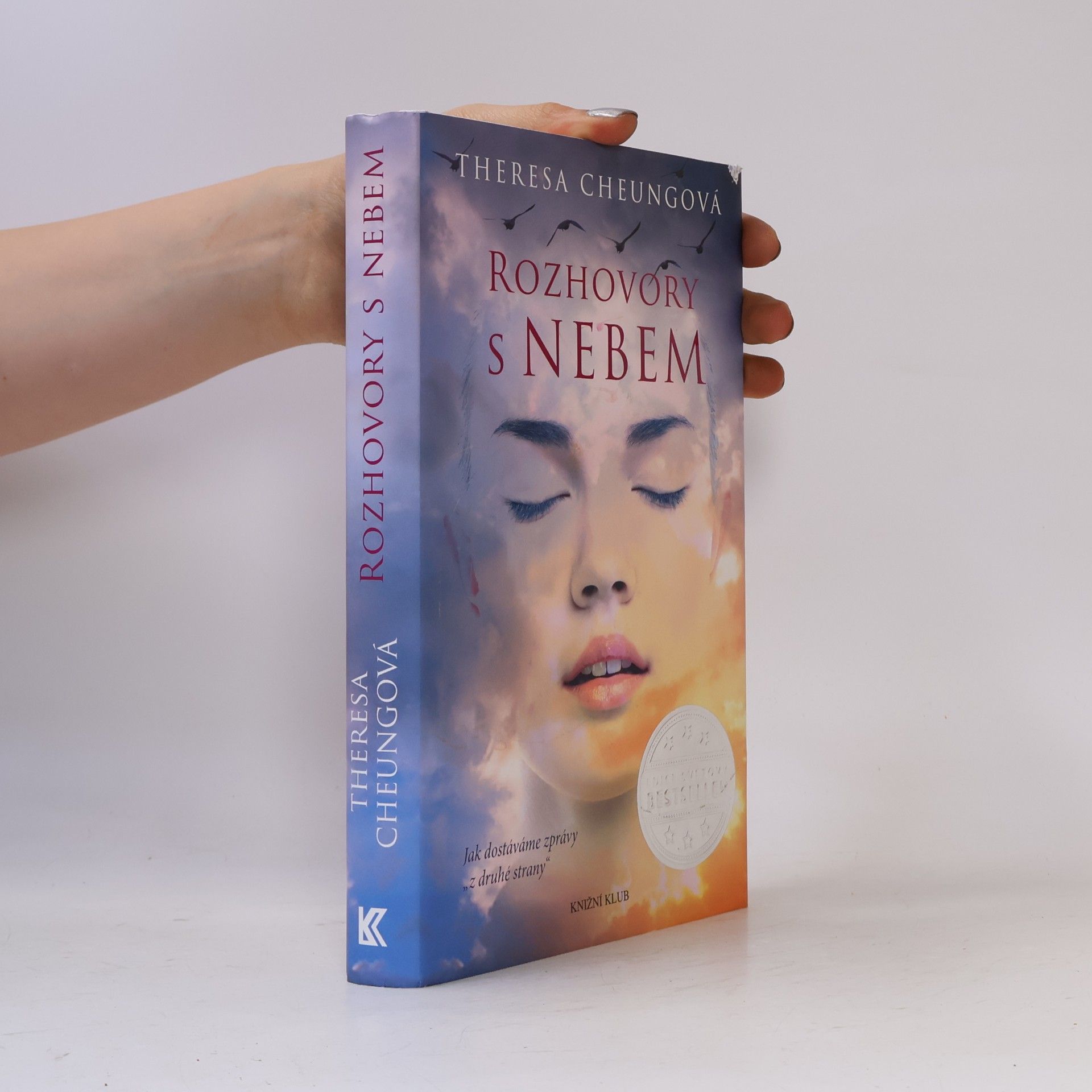 Theresa Francis-Cheung Rozhovory s nebem