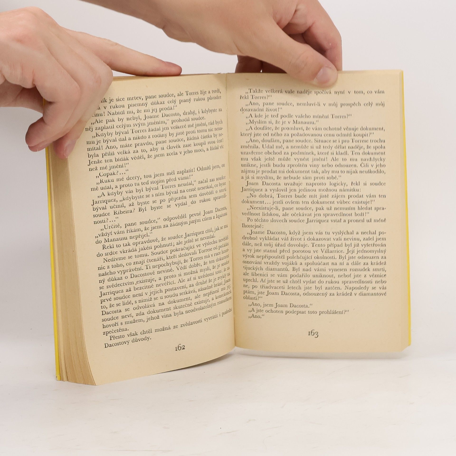Jules Verne 800 mil po Amazonce. Jangada