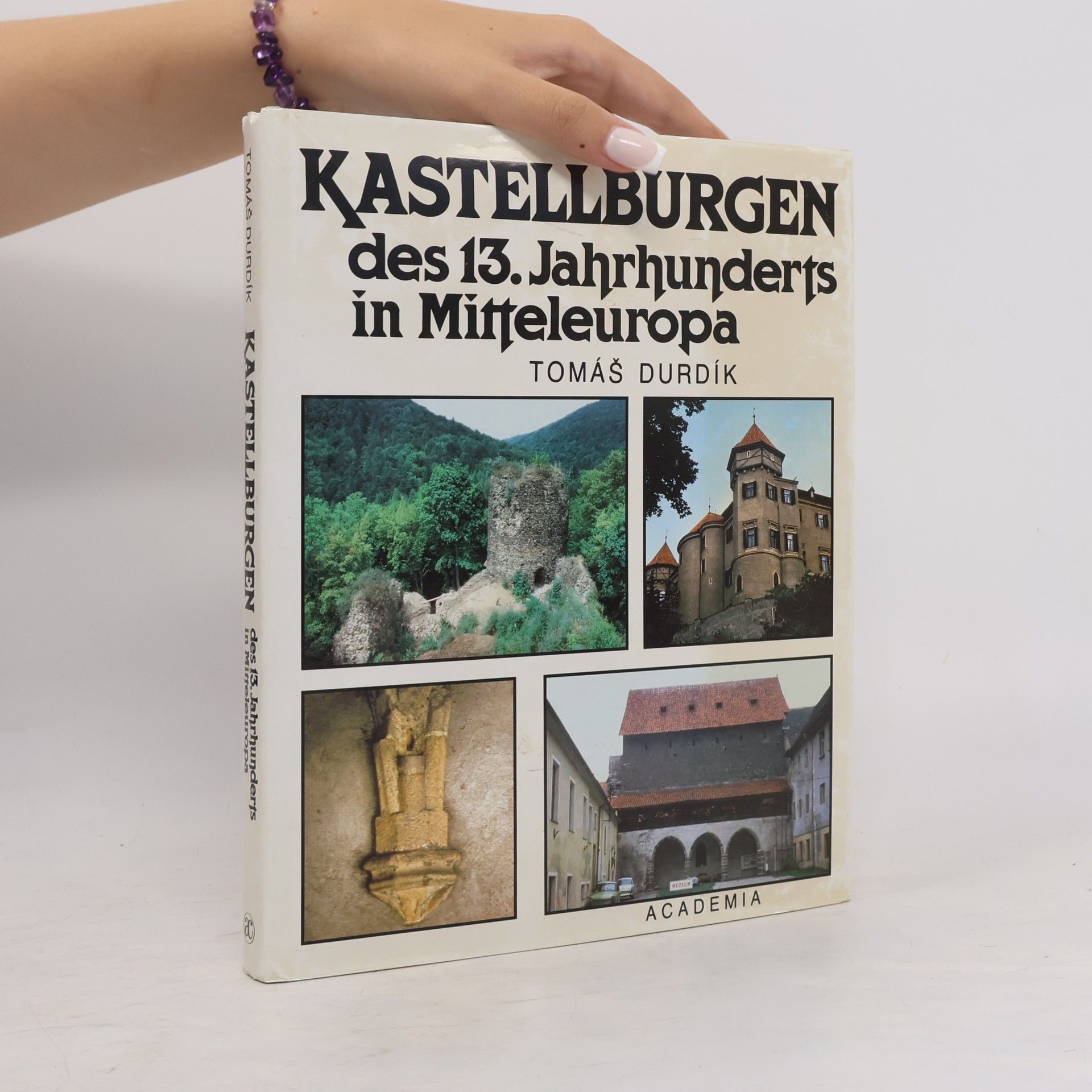 Tomáš Durdík Kastellburgen des 13. Jahrhunderts in Mitteleuropa
