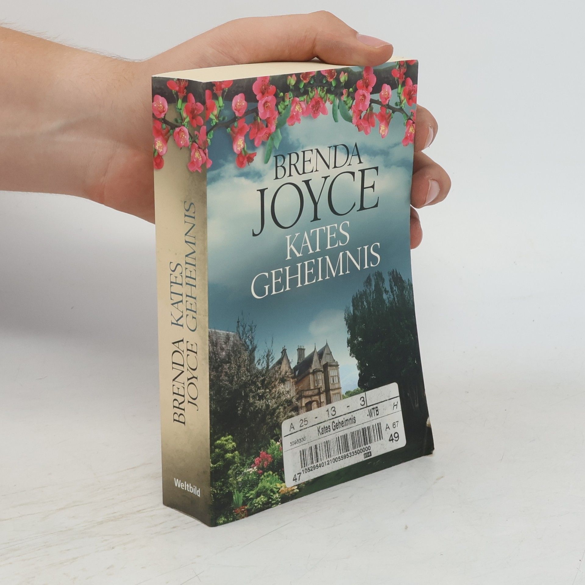 Brenda Joyce Kates Geheimnis