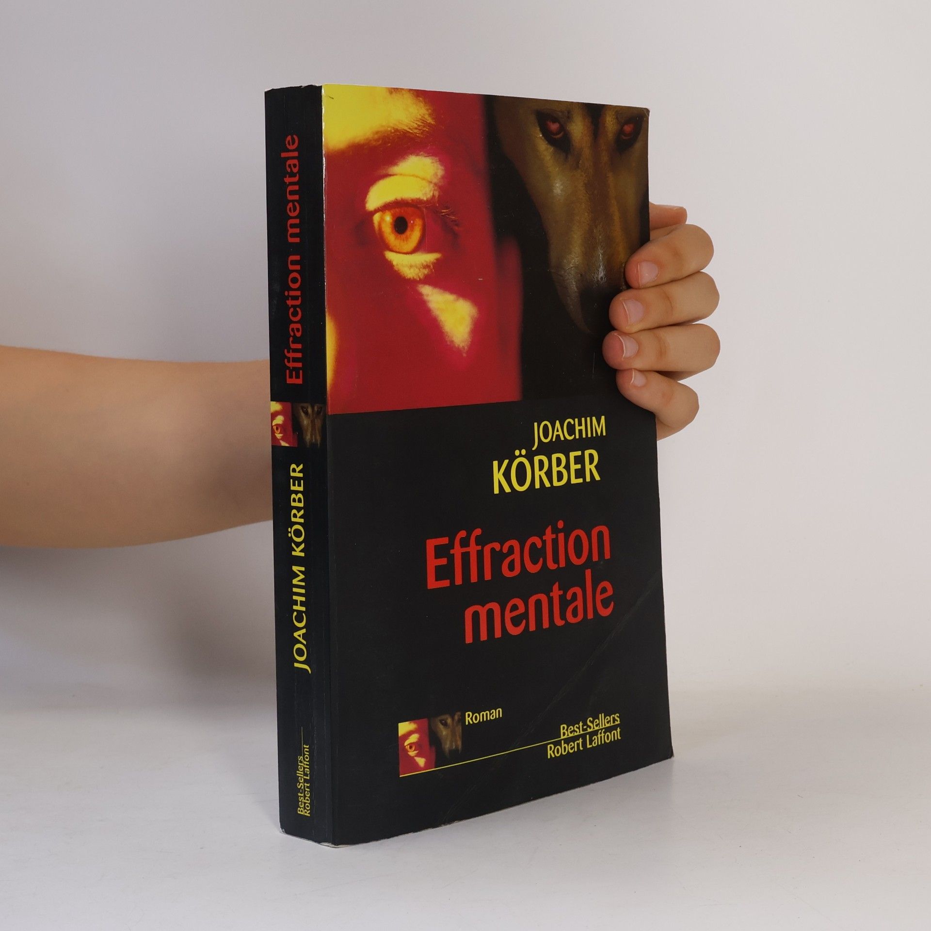 Effraction mentale