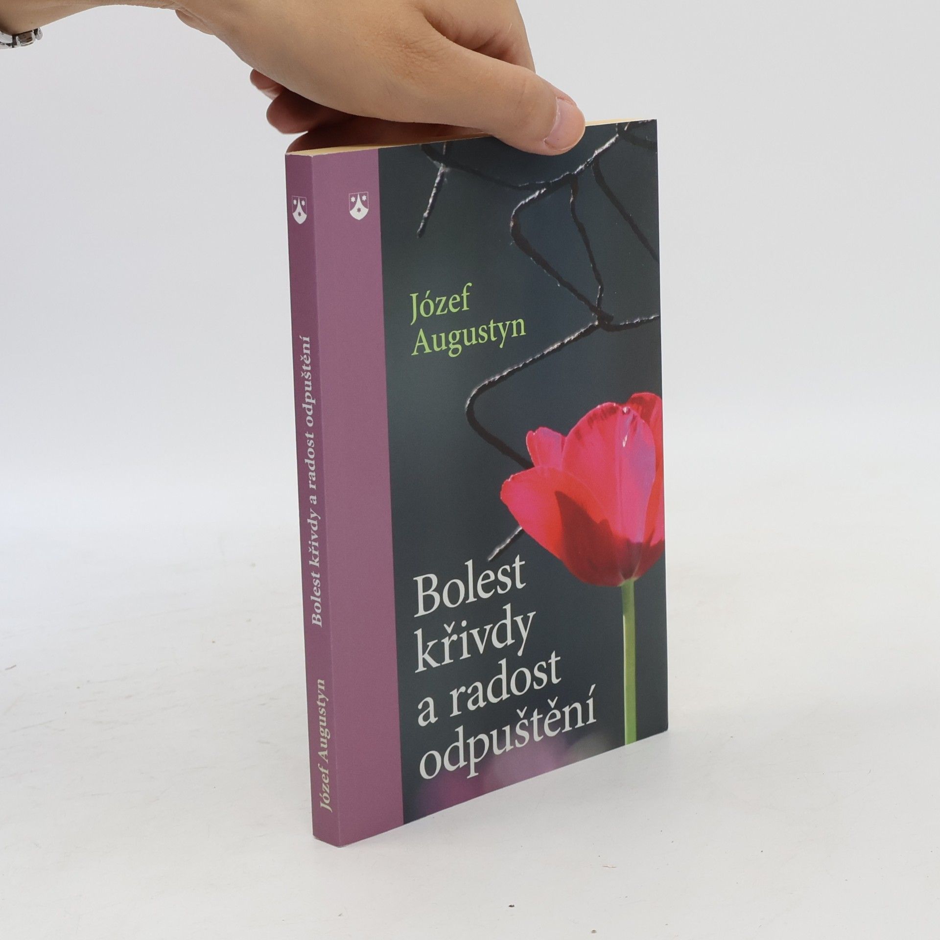 Józef Augustyn Bolest křivdy a radost odpuštění