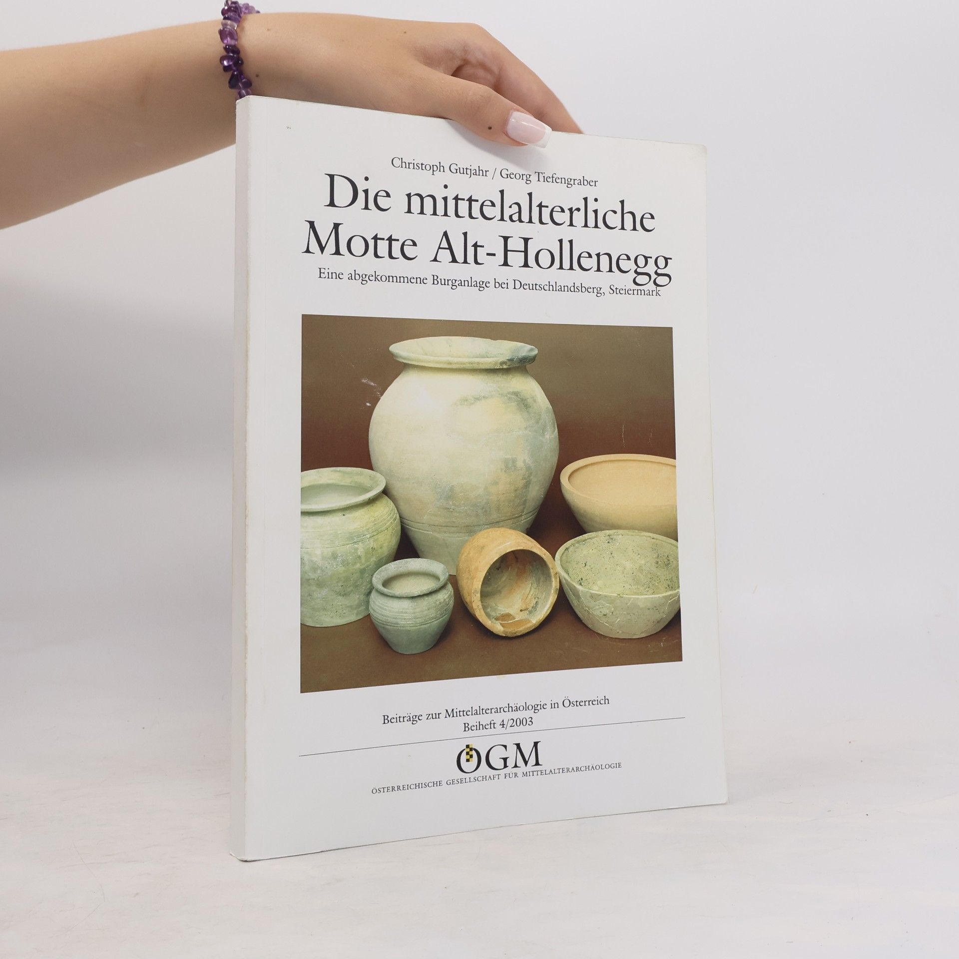 Christoph Gutjahr Die mittelalterliche Motte Alt-Hollenegg