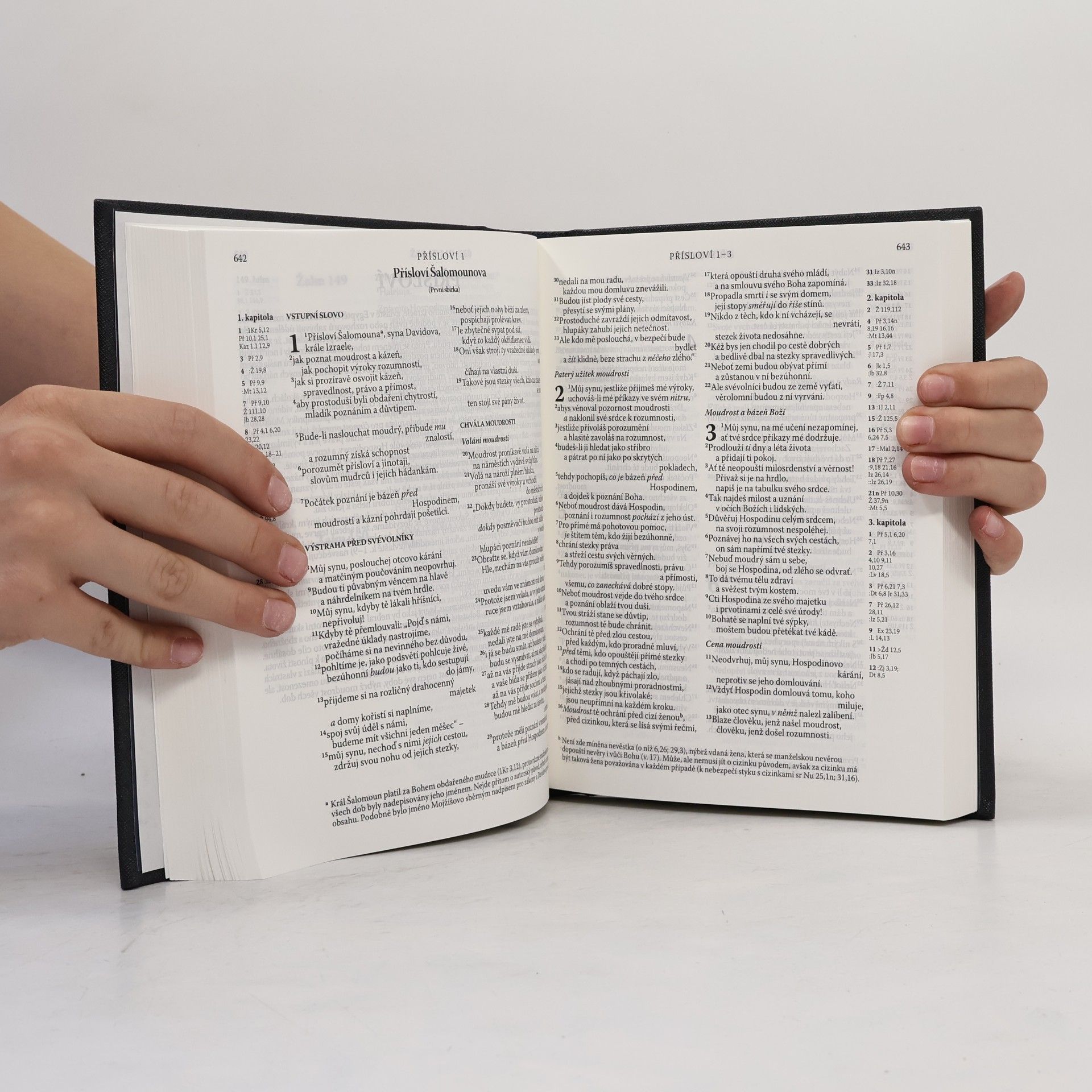 Kolektiv autorů Bible : Písmo svaté Starého a Nového zákona