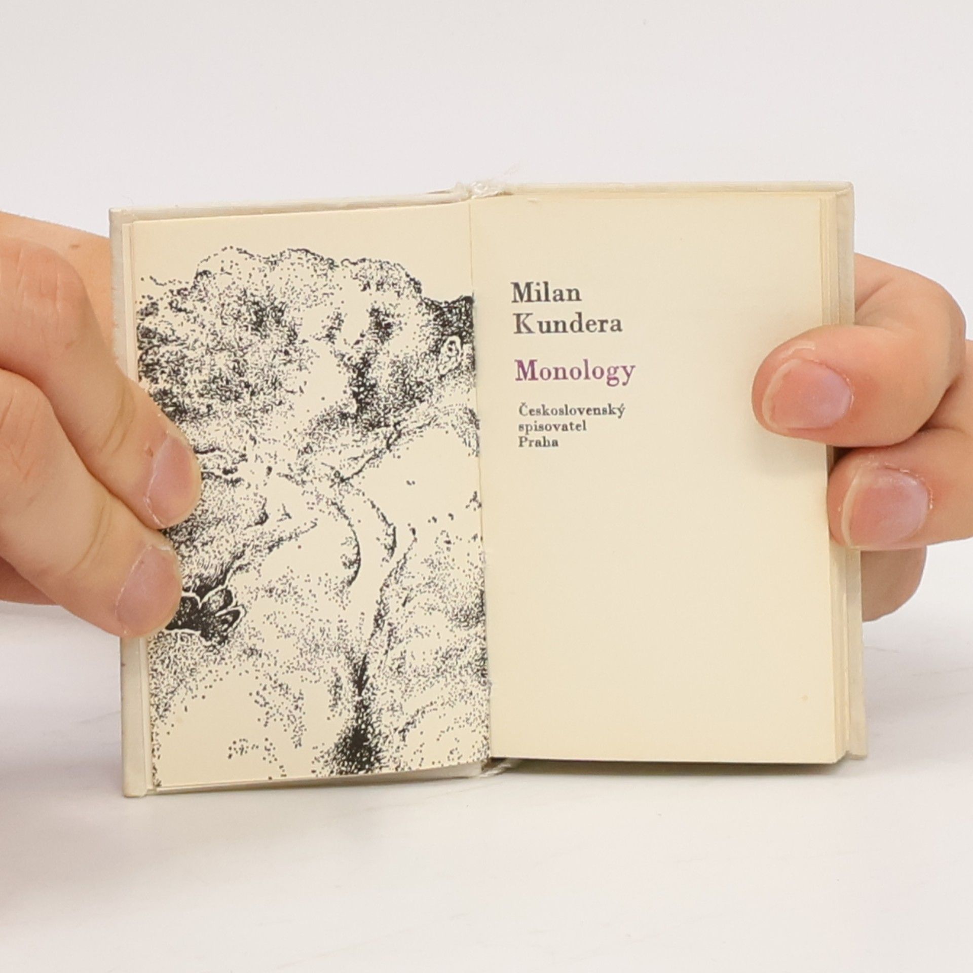Milan Kundera Monology