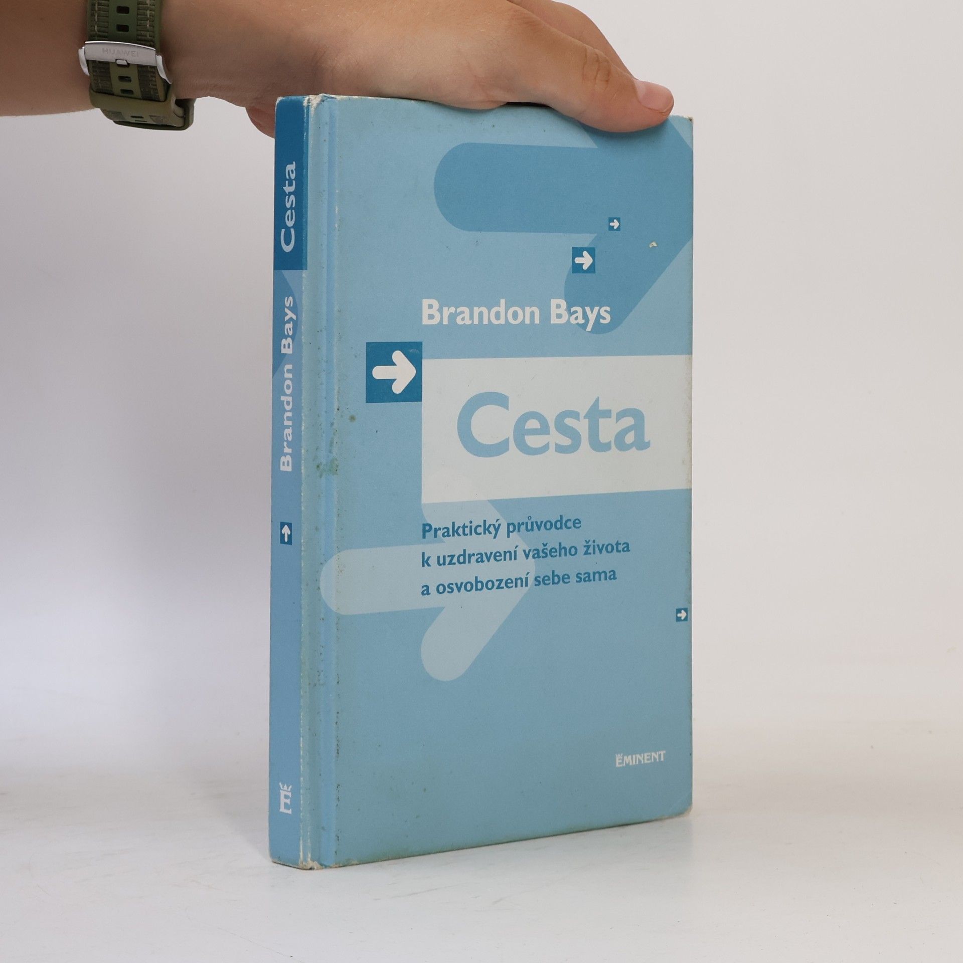 Brandon Bays Cesta