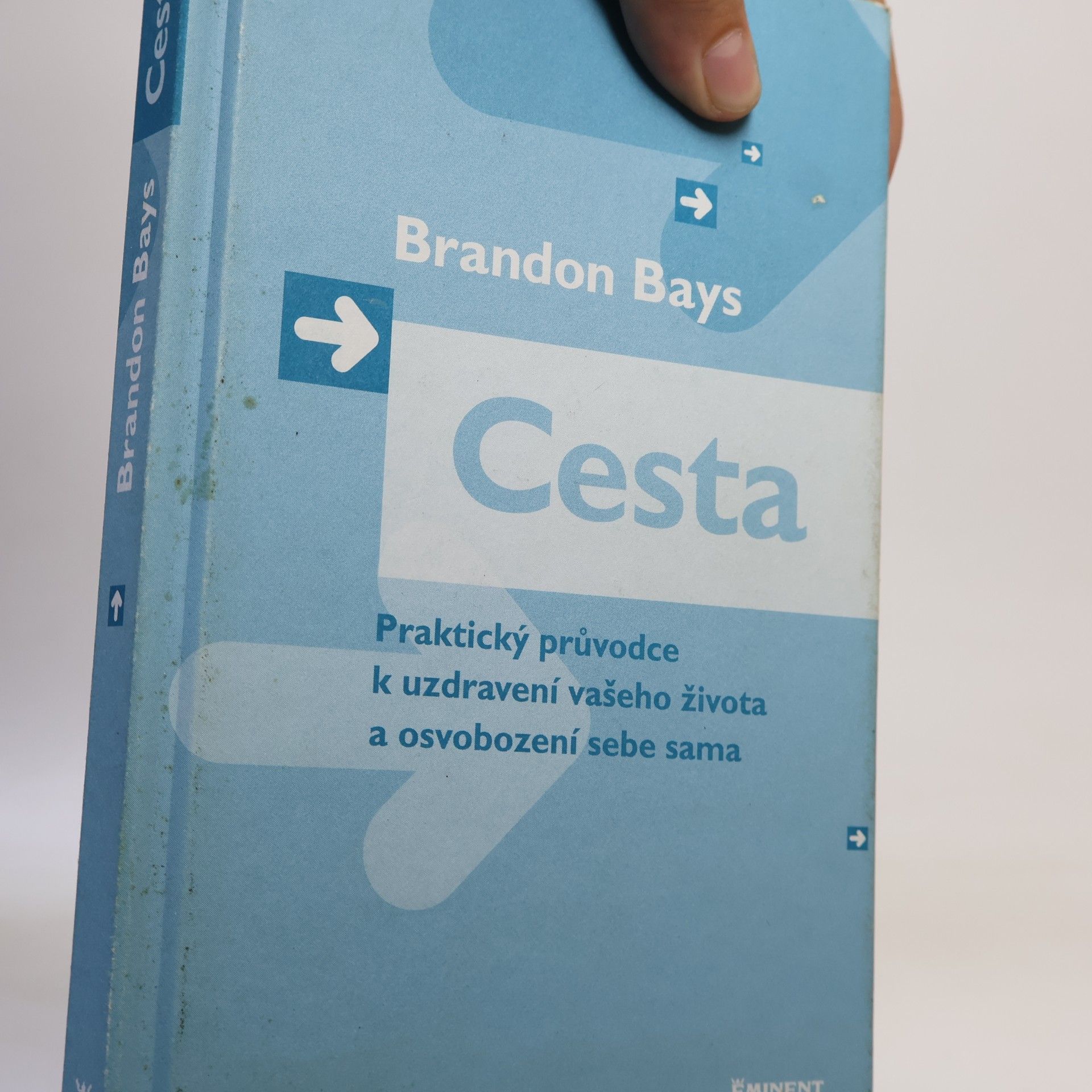 Brandon Bays Cesta