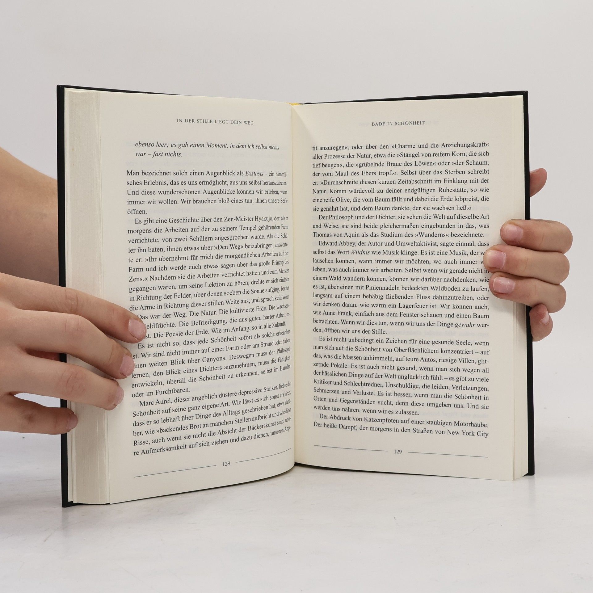 Ryan Holiday In der Stille liegt Dein Weg