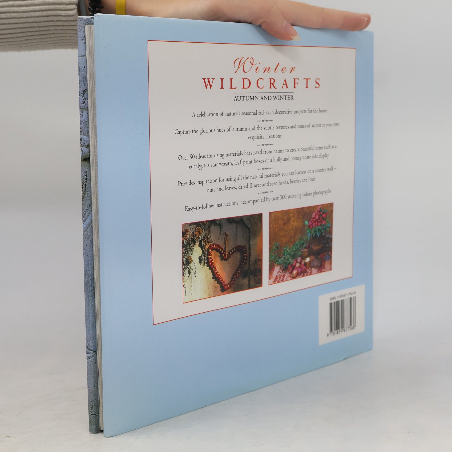 Tessa Evelegh Winter Wildcrafts
