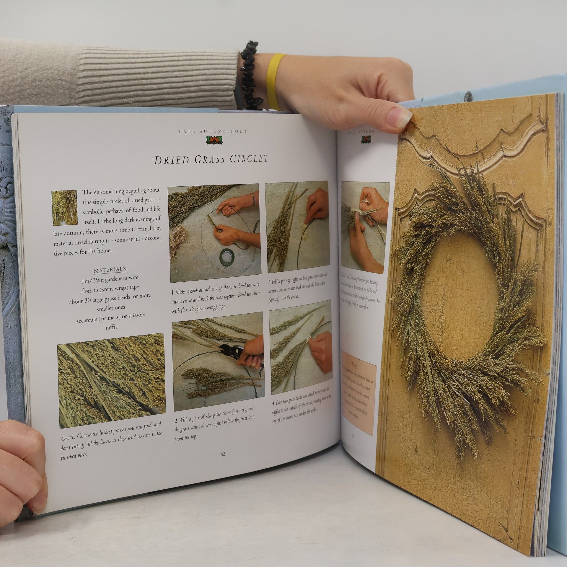 Tessa Evelegh Winter Wildcrafts