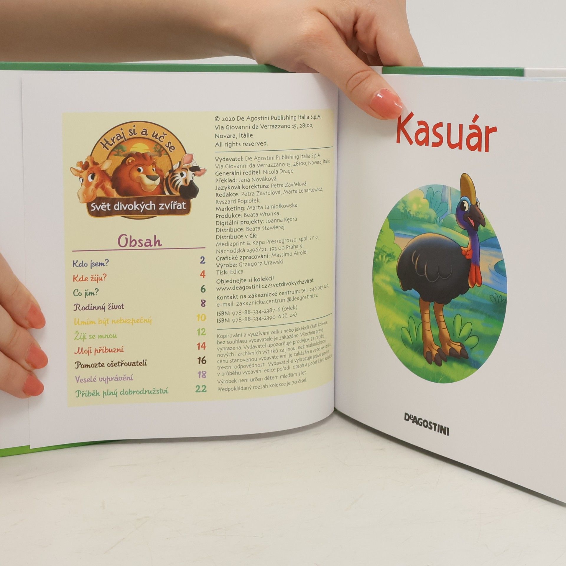 kolektiv Bydlím v lese 24. Kasuár