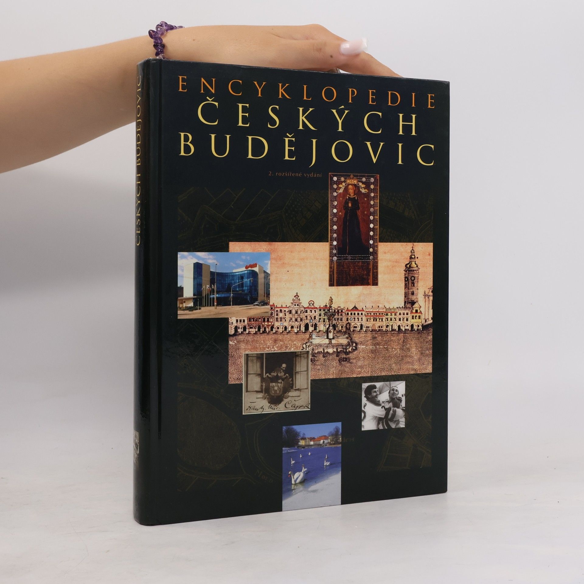Autorenkollektiv Encyklopedie Českých Budějovic