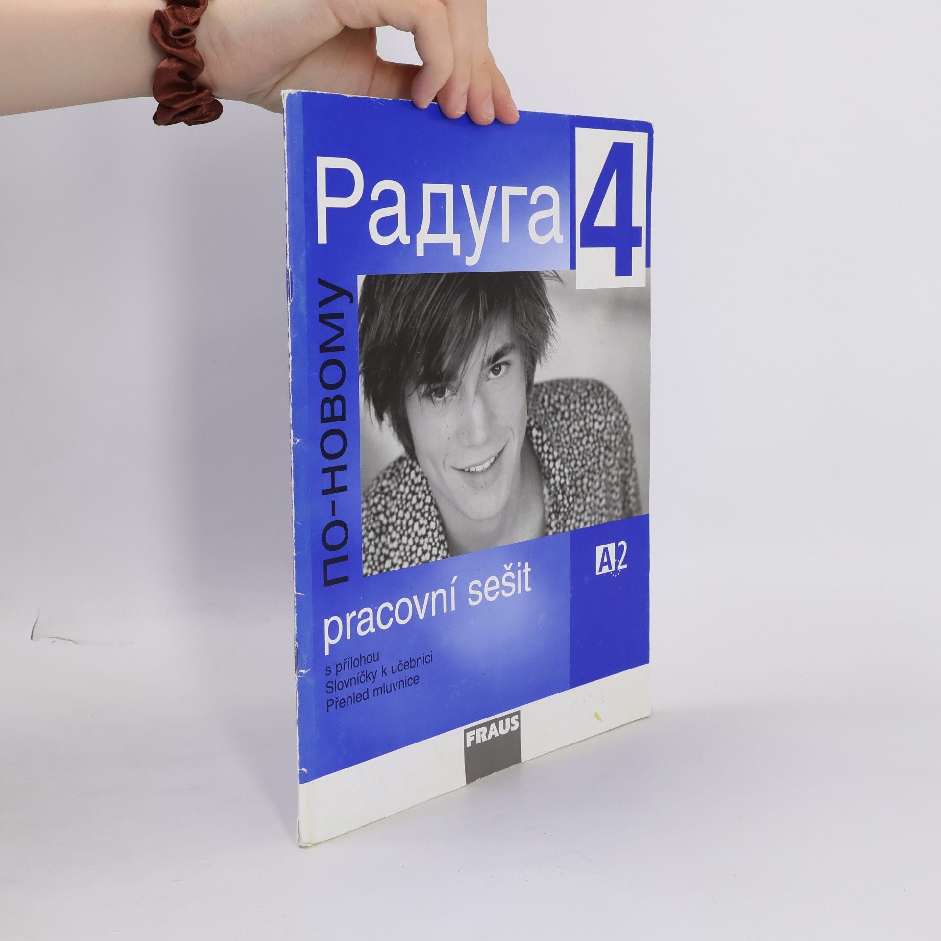 Autorenkollektiv Raduga po-novomu 4- Pracovní sešit
