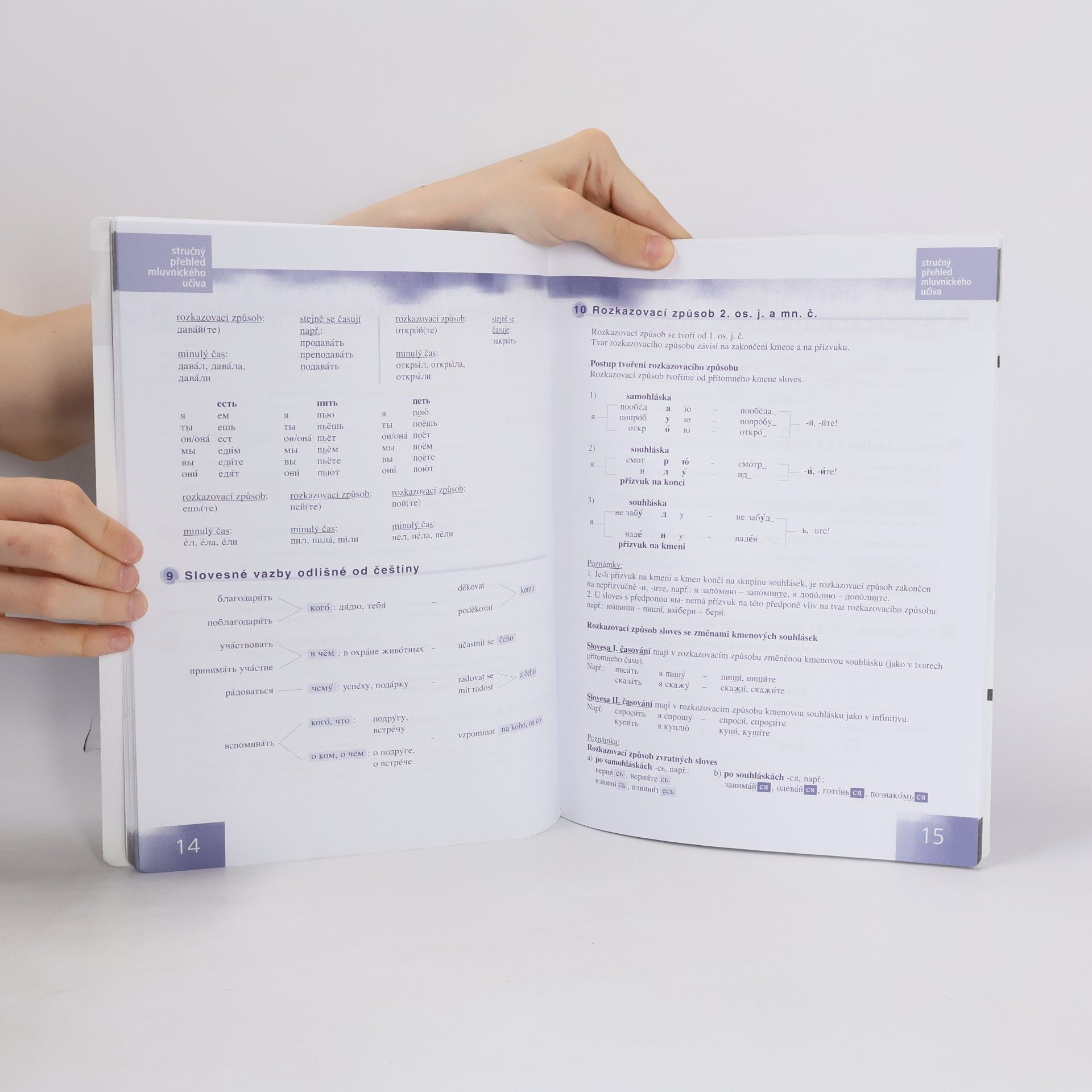 Autorenkollektiv Raduga po-novomu 4- Pracovní sešit