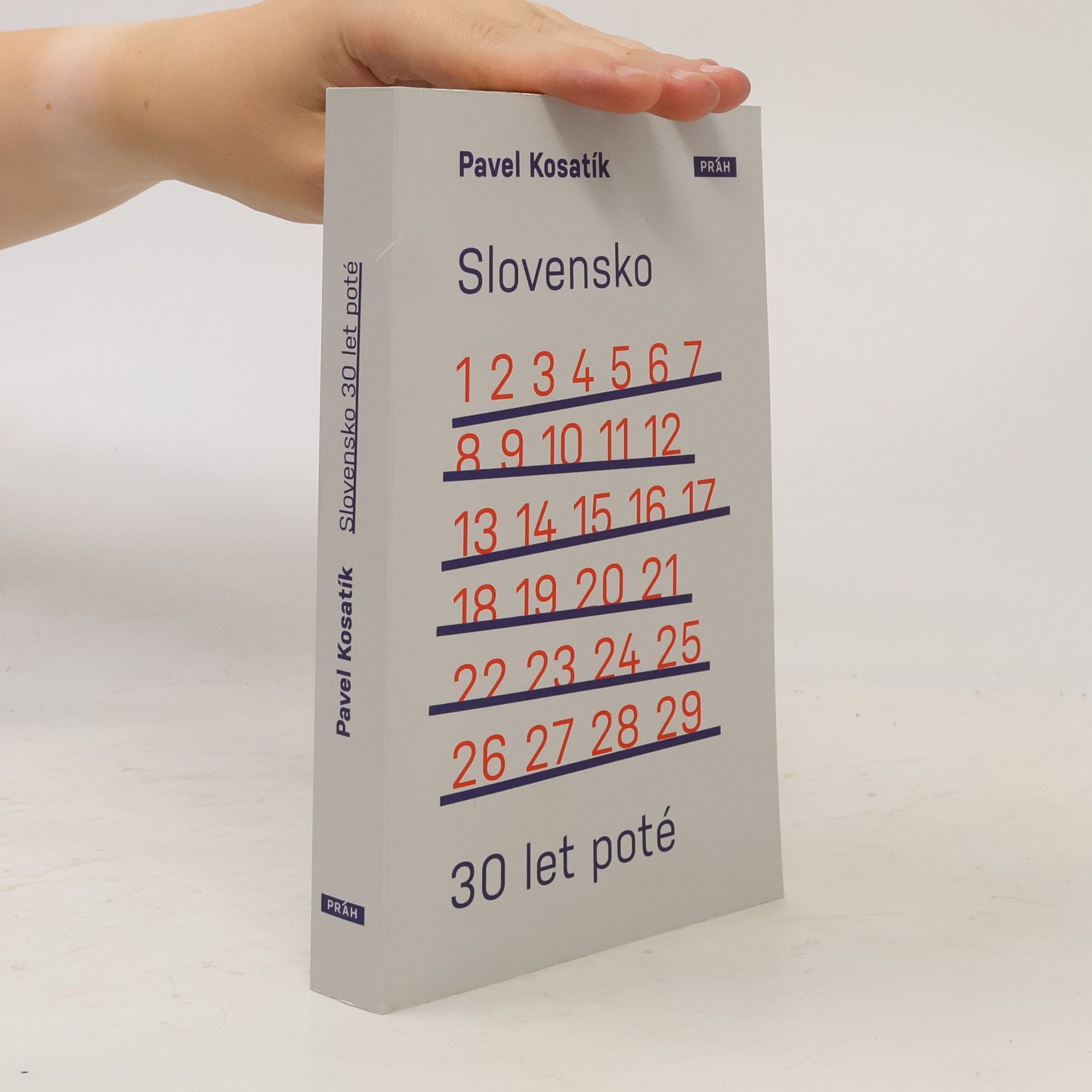 Pavel Kosatík Slovensko třicet let poté