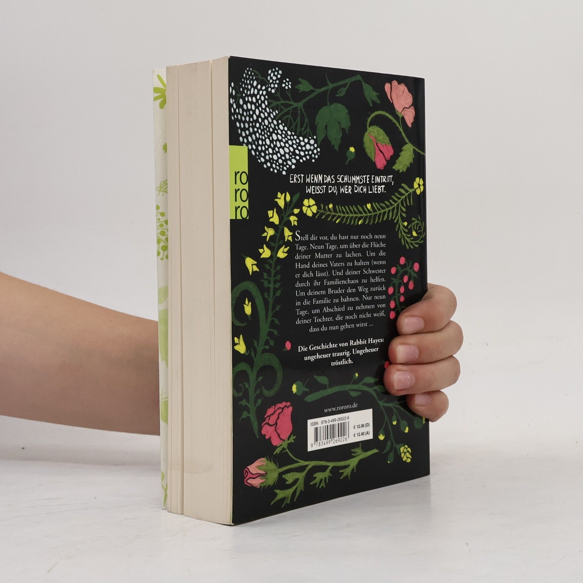 Anna McPartlin Die letzten Tage von Rabbit Hayes