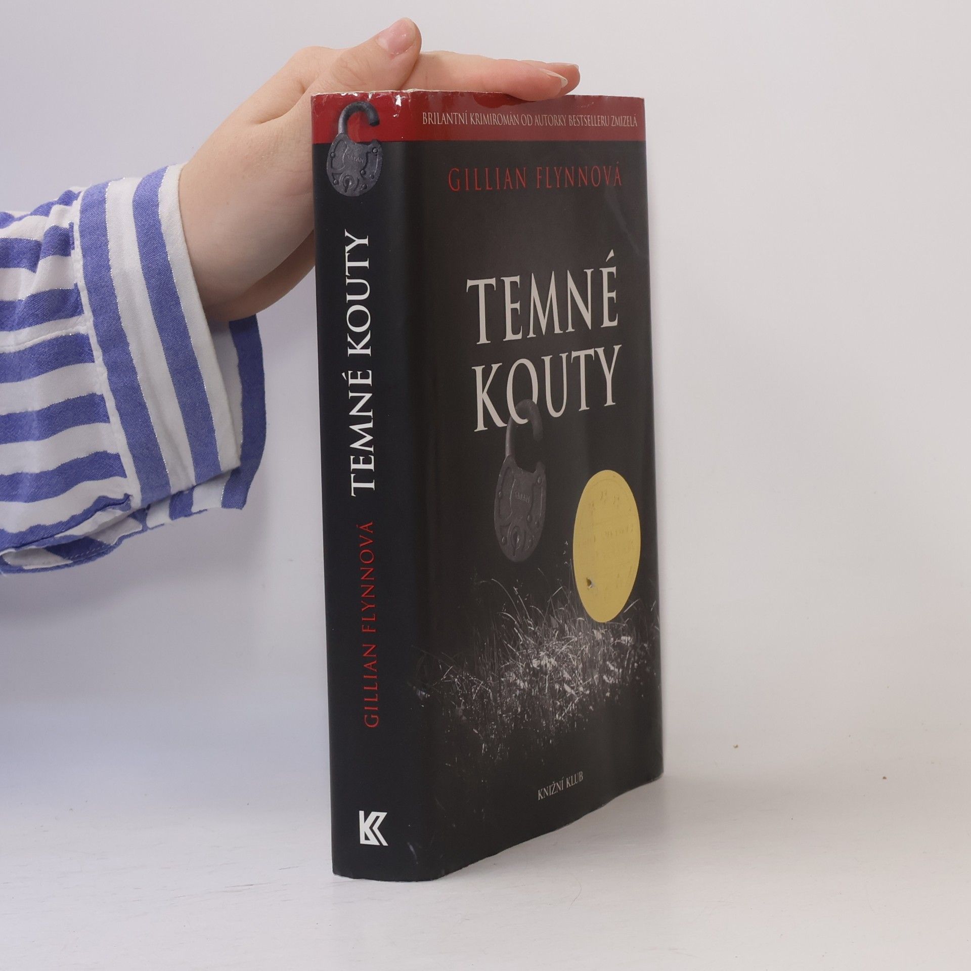 Gillian Flynn Temné kouty