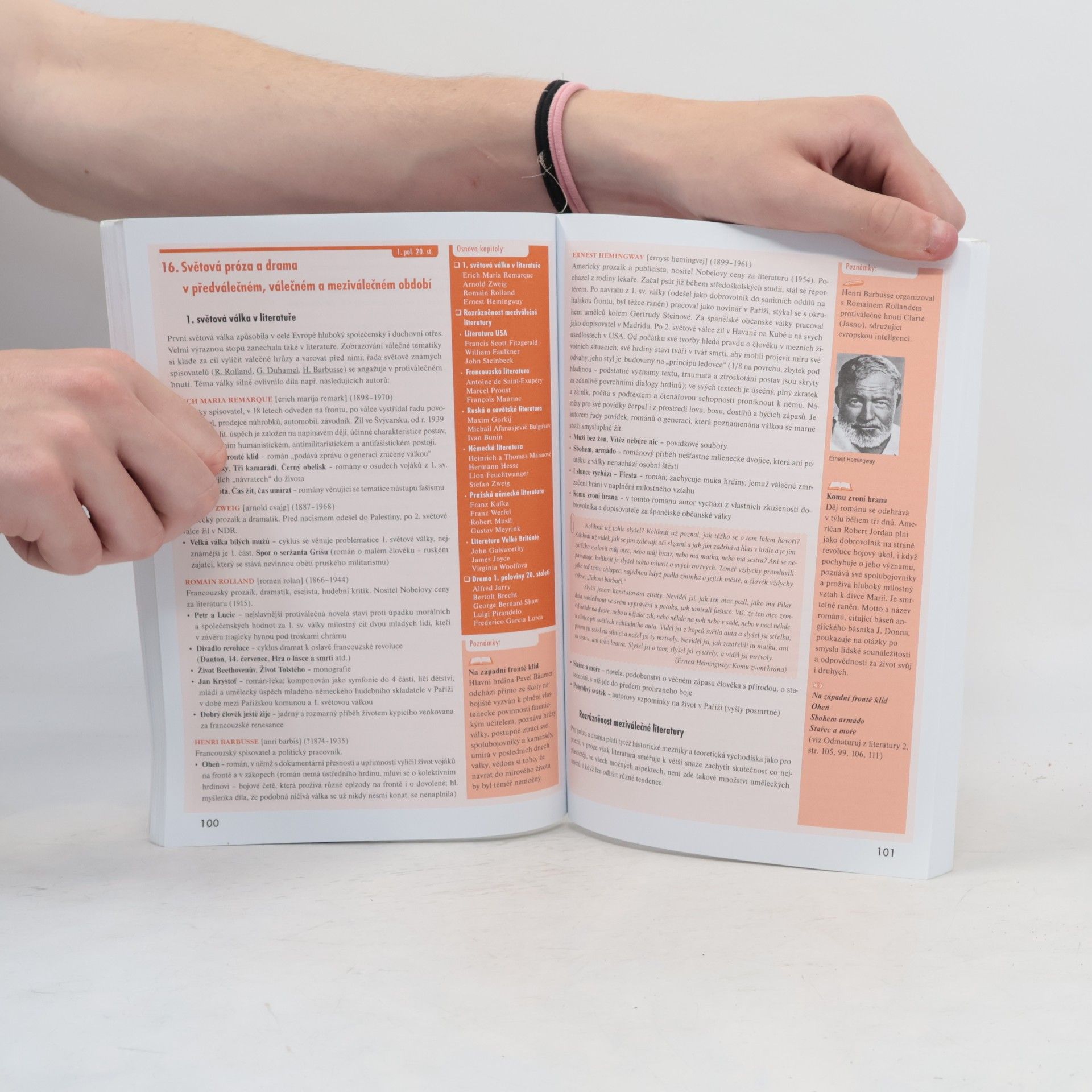 Autorenkollektiv Odmaturuj! z literatury 1 : včetně současné české a světové literatury