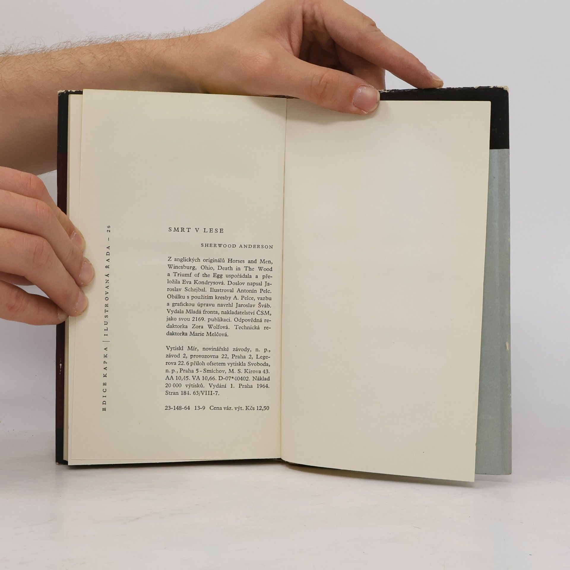 Sherwood Anderson Smrt v lese