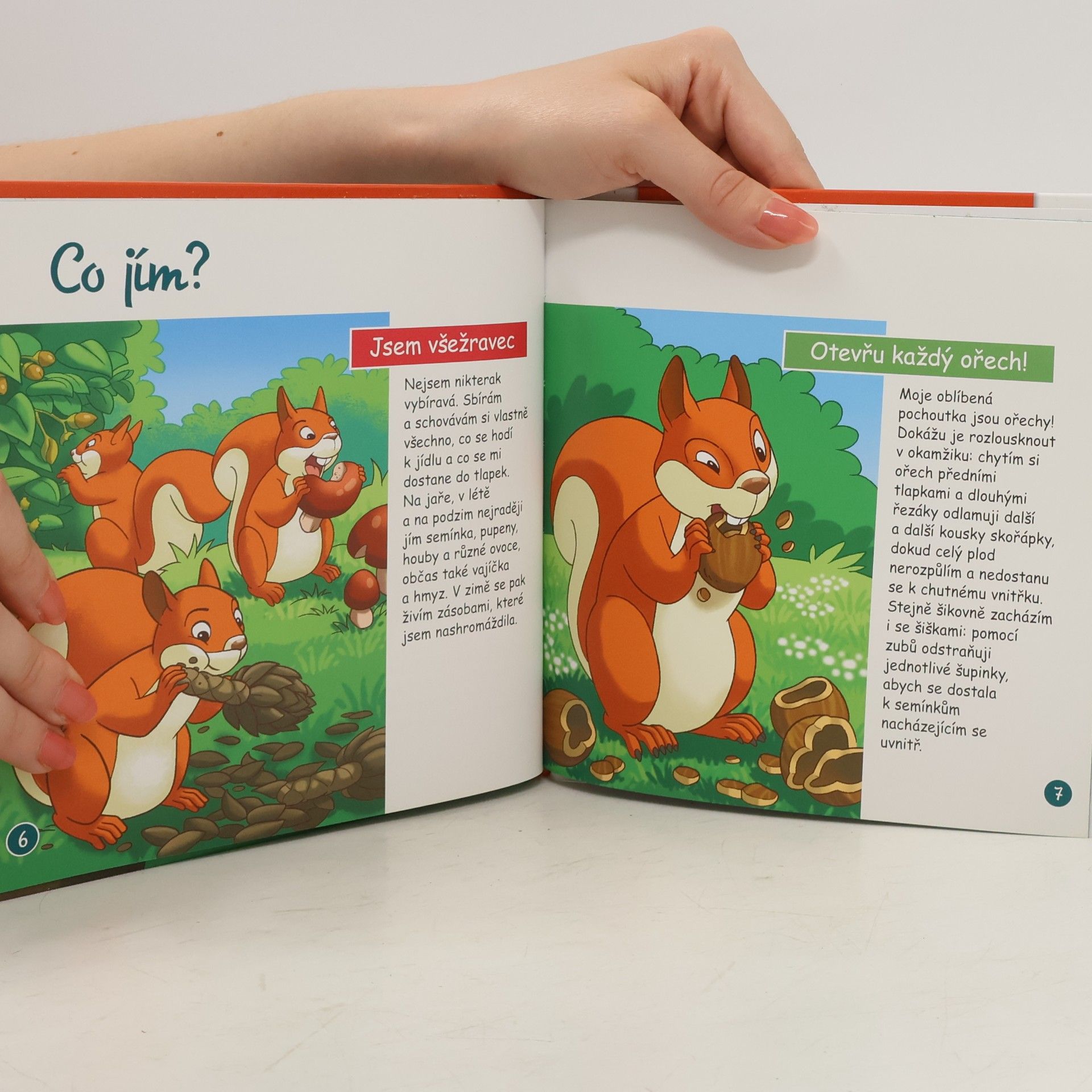 Various authors Na okraji lesa 5. Veverka